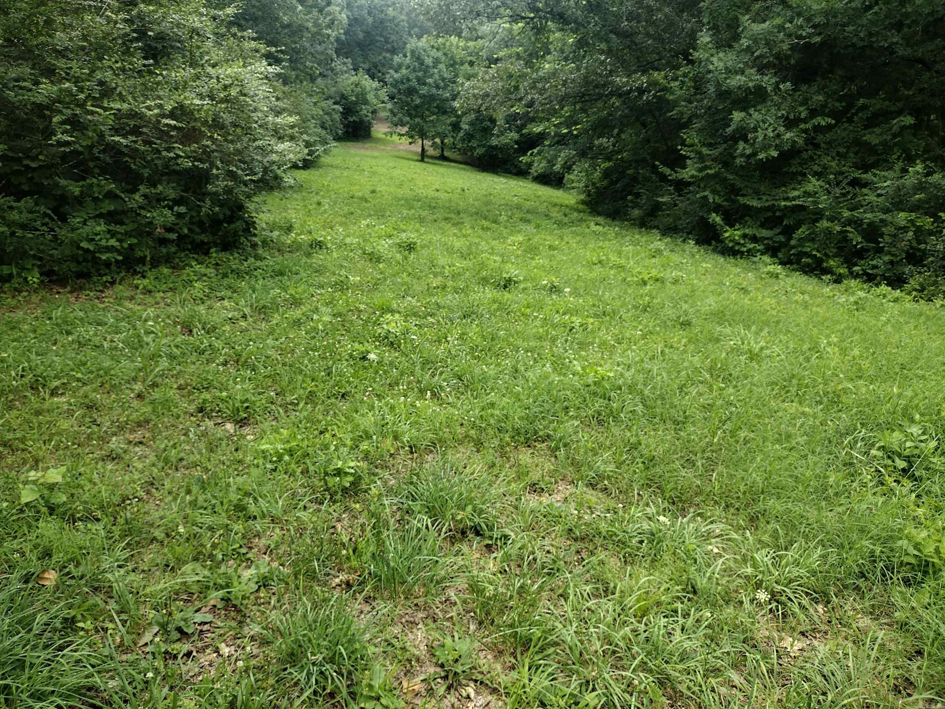 0 Green Meadows rd  Mountain View, AR