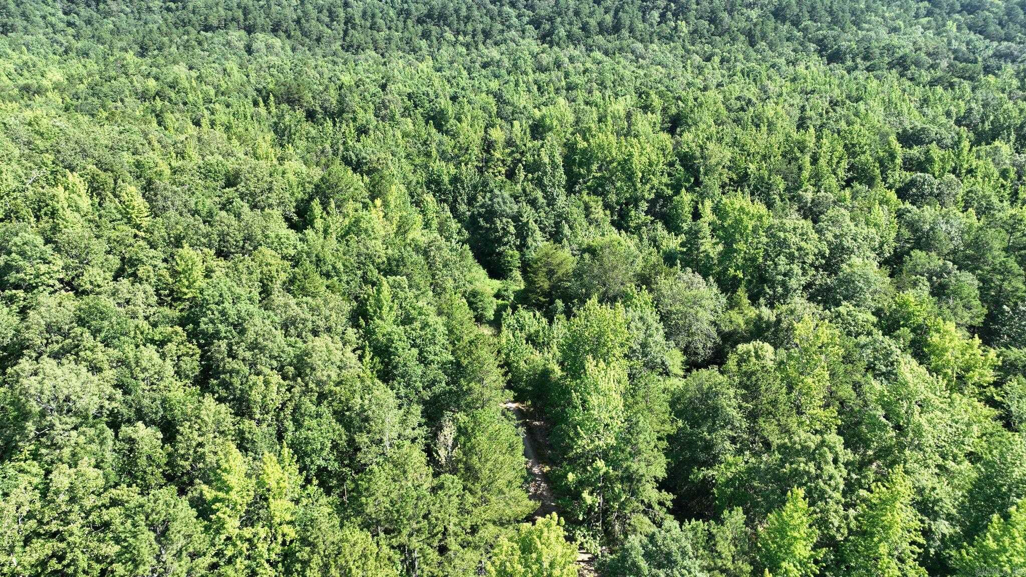 TBD Polk Road 69  Mena, AR