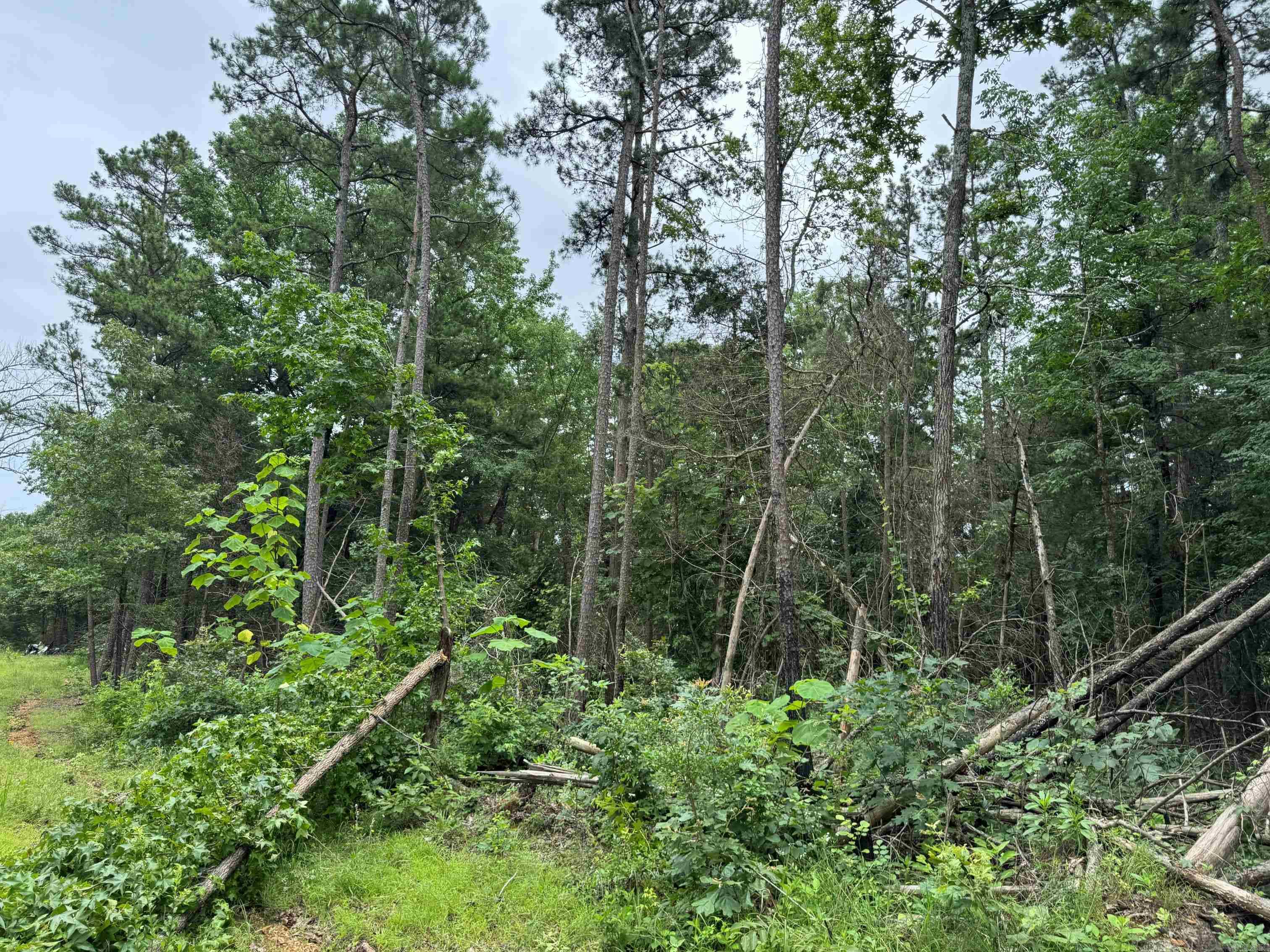 1092 Georgia Ridge Rd  Searcy, AR
