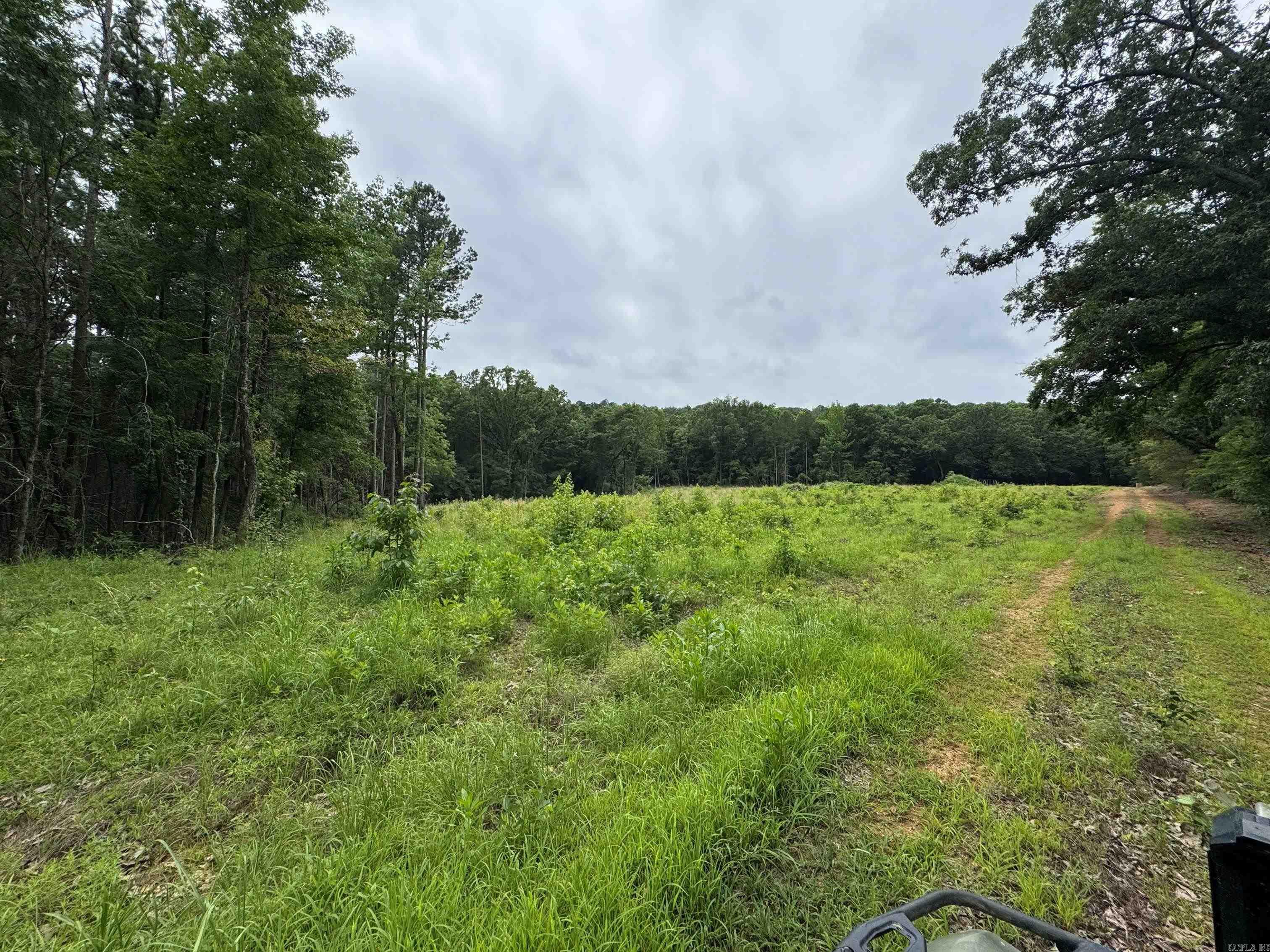 1092 Georgia Ridge Rd  Searcy, AR