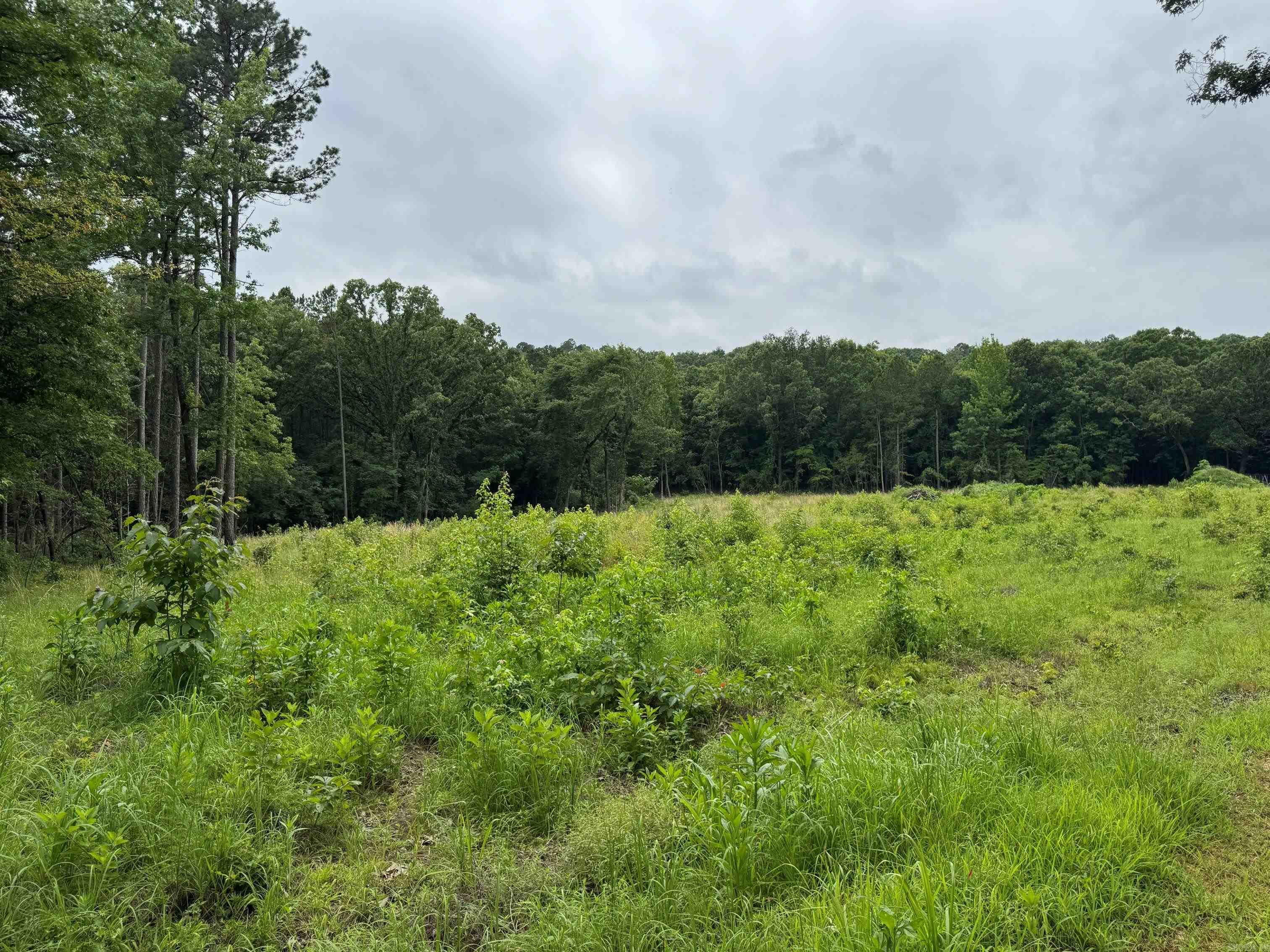 1092 Georgia Ridge Rd  Searcy, AR