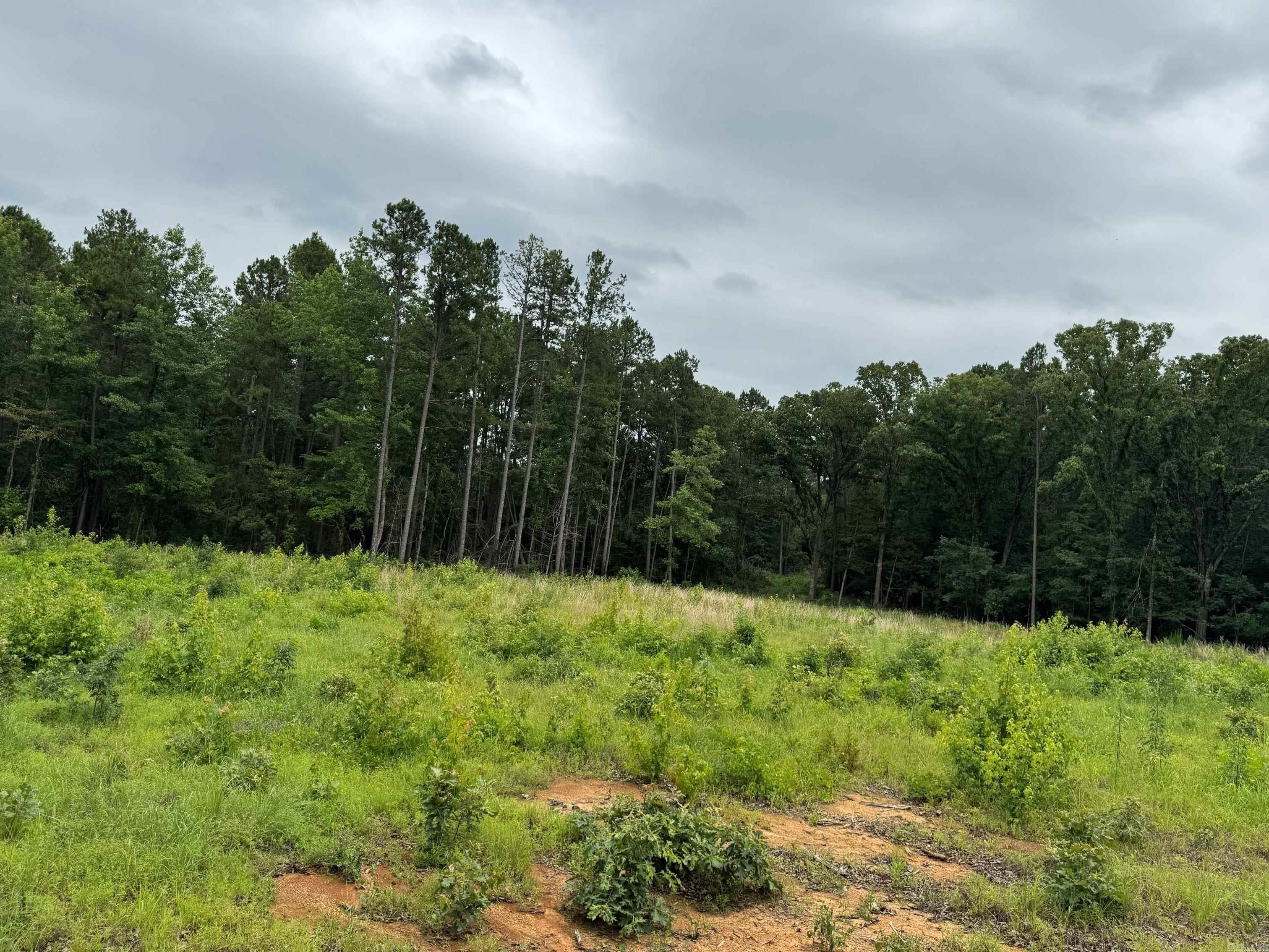 1092 Georgia Ridge Rd  Searcy, AR