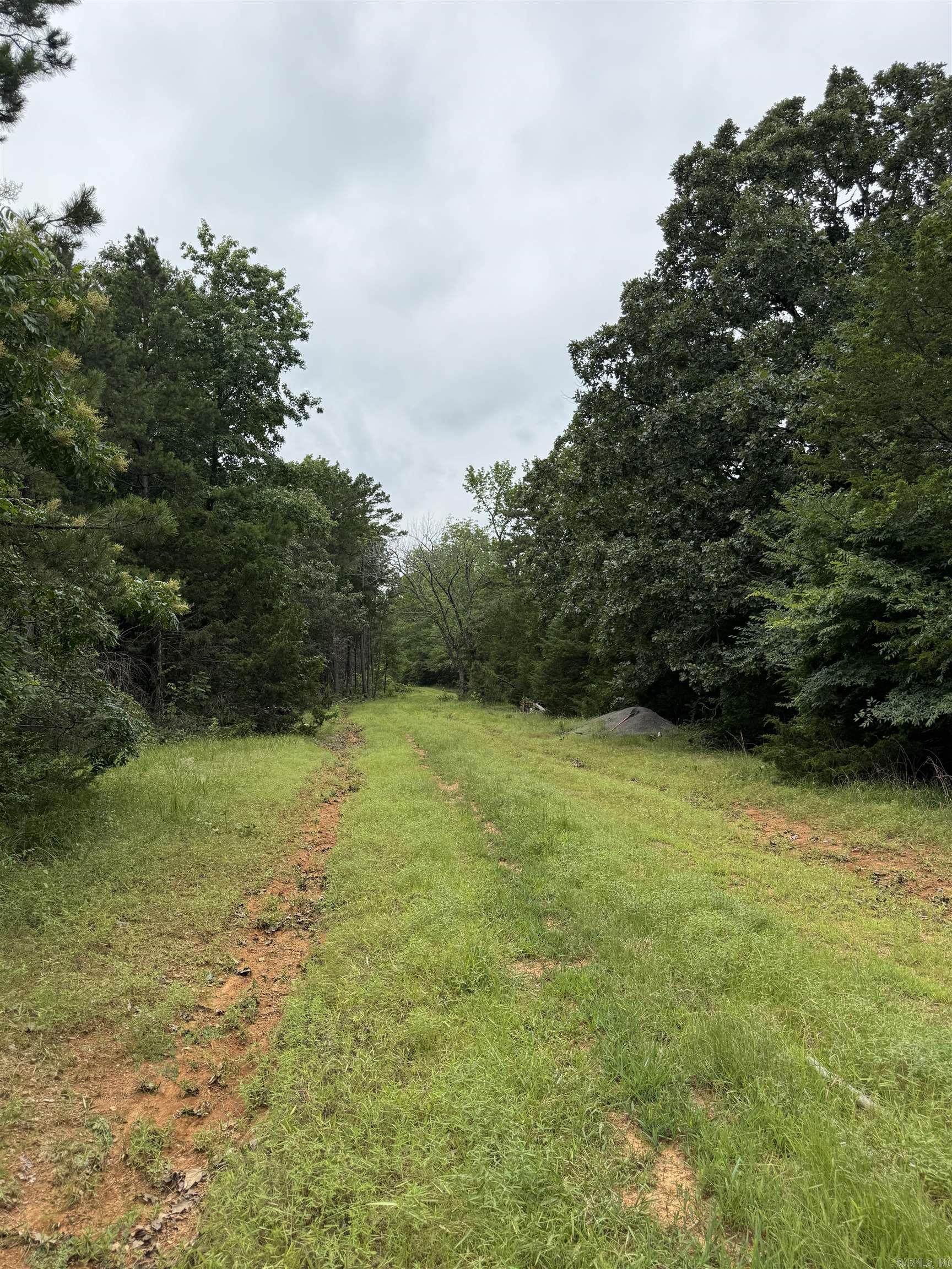 1092 Georgia Ridge Rd  Searcy, AR