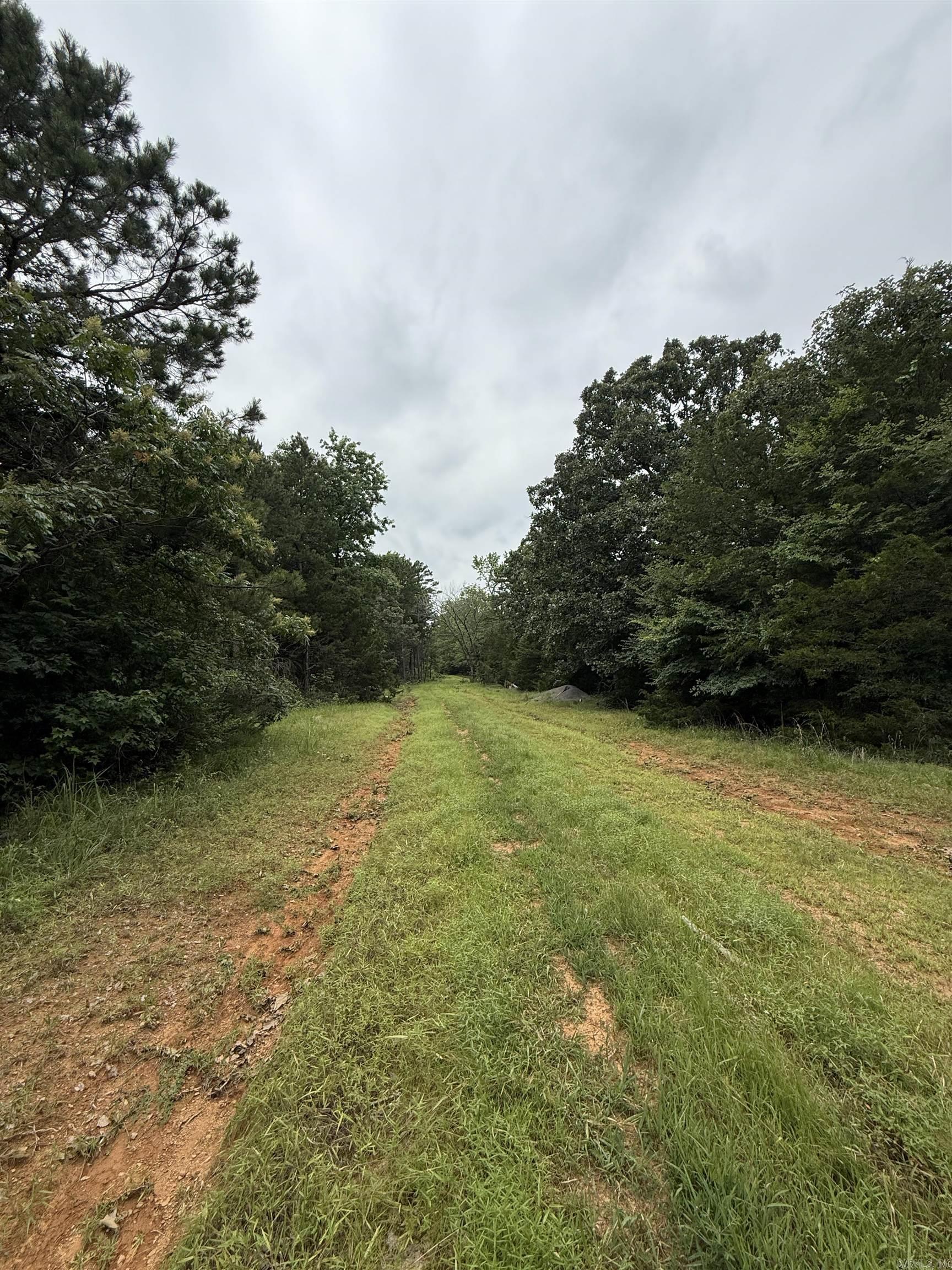 1092 Georgia Ridge Rd  Searcy, AR