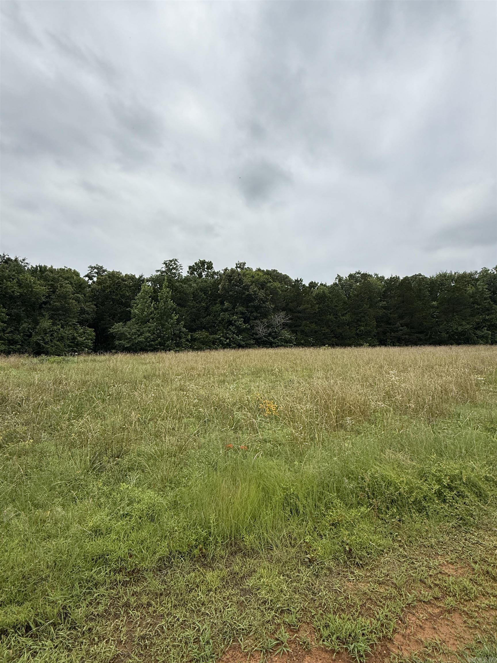 1092 Georgia Ridge Rd  Searcy, AR