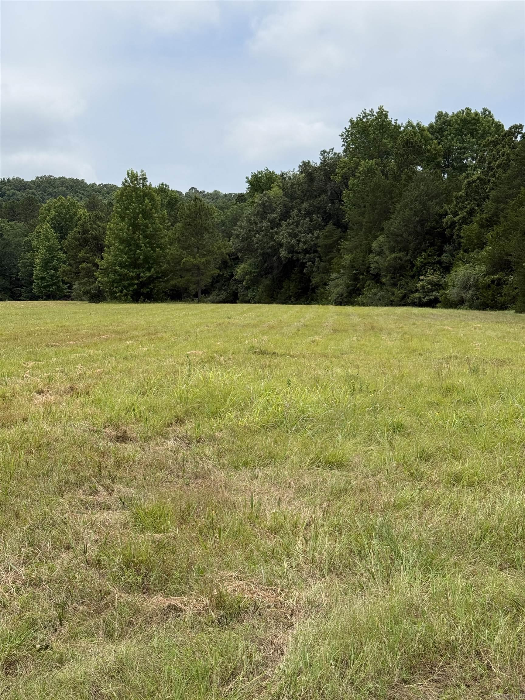 1092 Georgia Ridge Rd  Searcy, AR