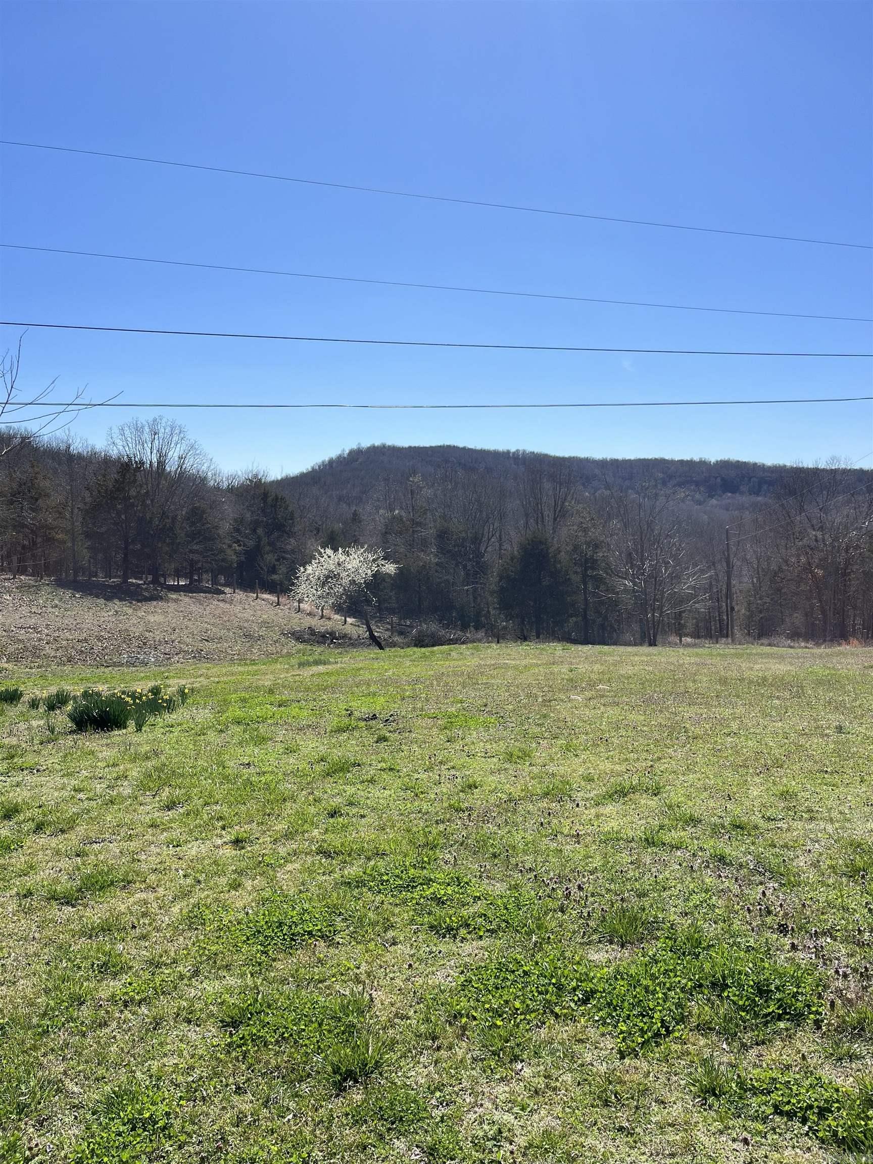 564 Rattlesnake  Marshall, AR