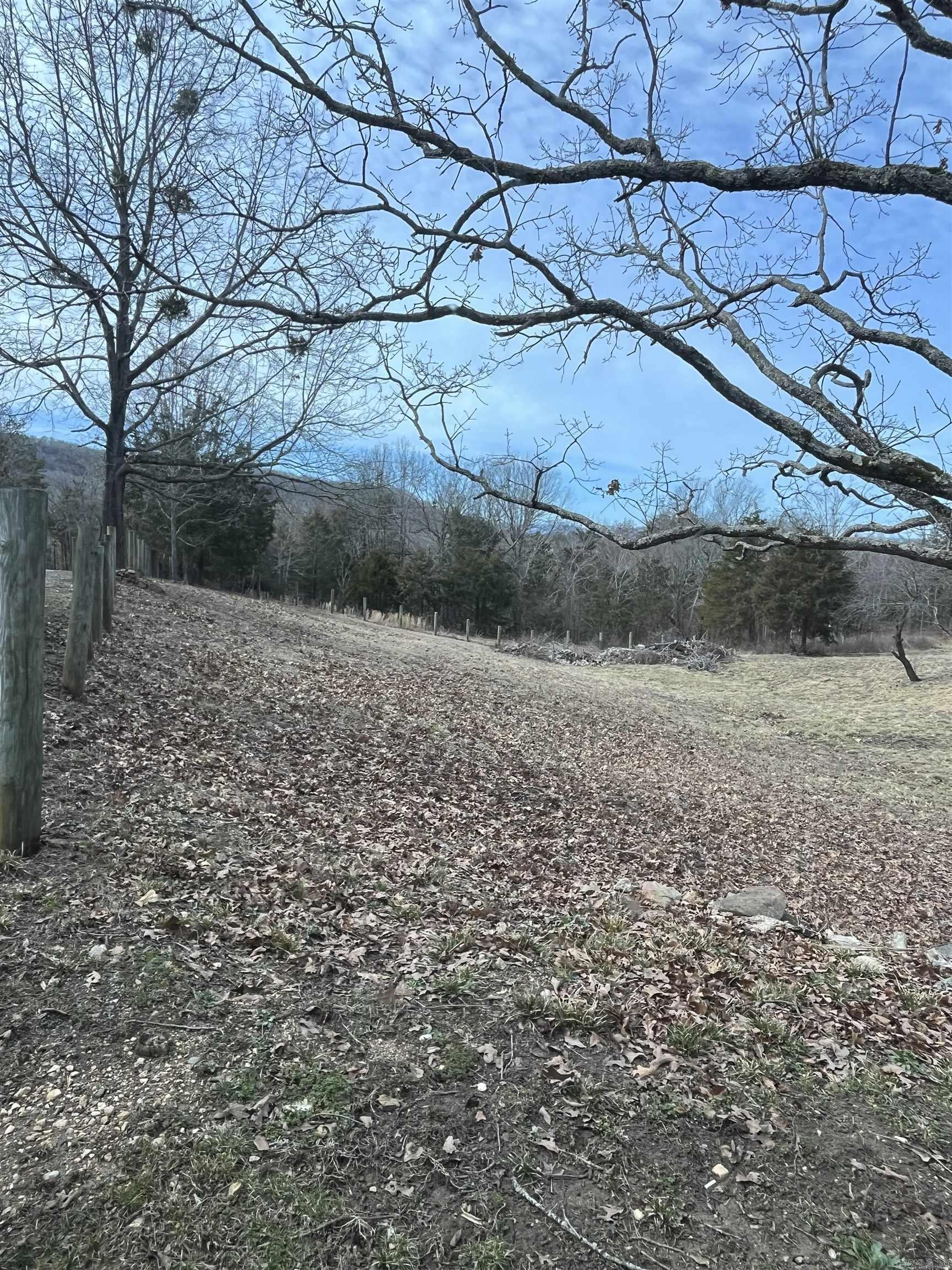 564 Rattlesnake  Marshall, AR