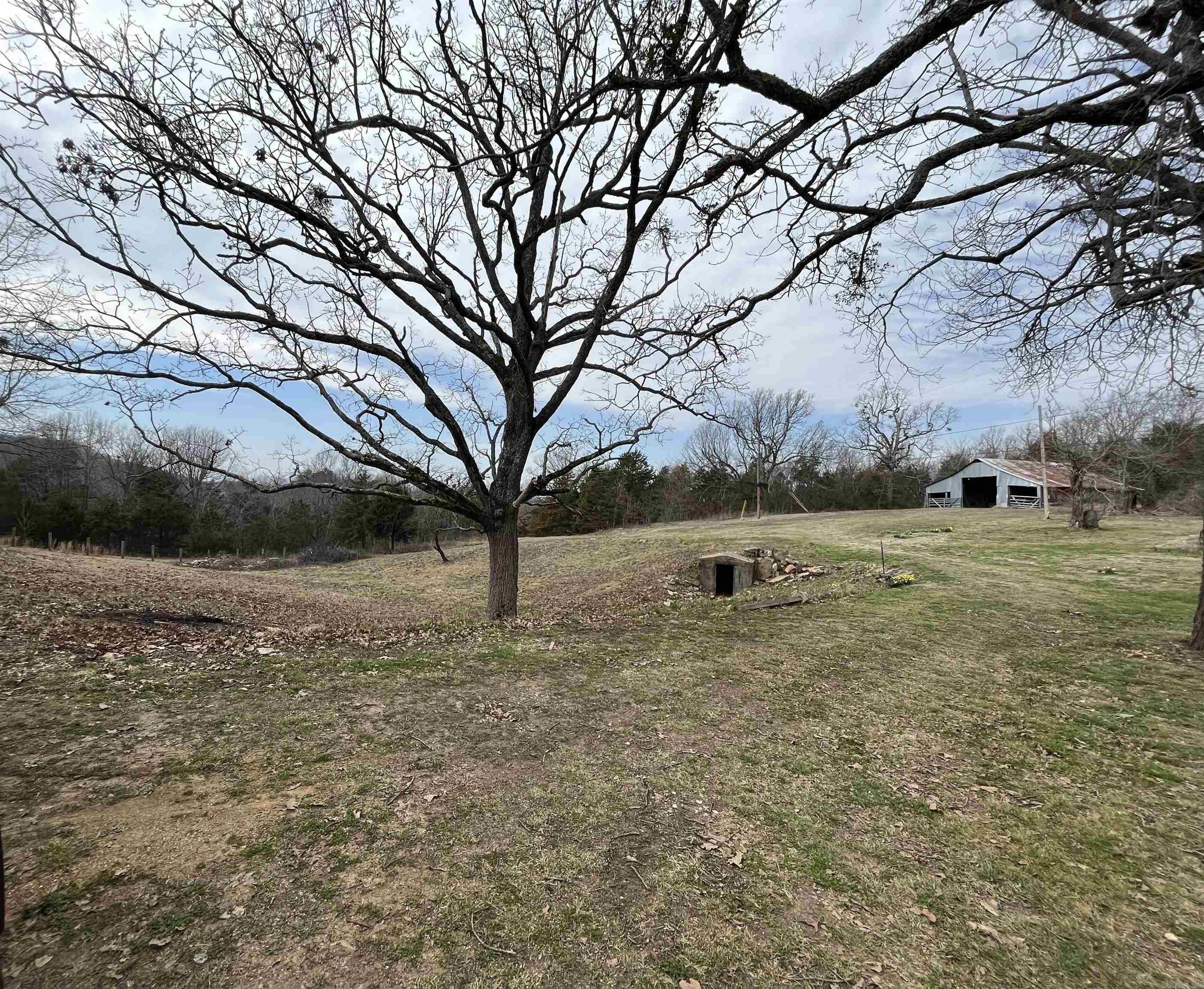 564 Rattlesnake  Marshall, AR