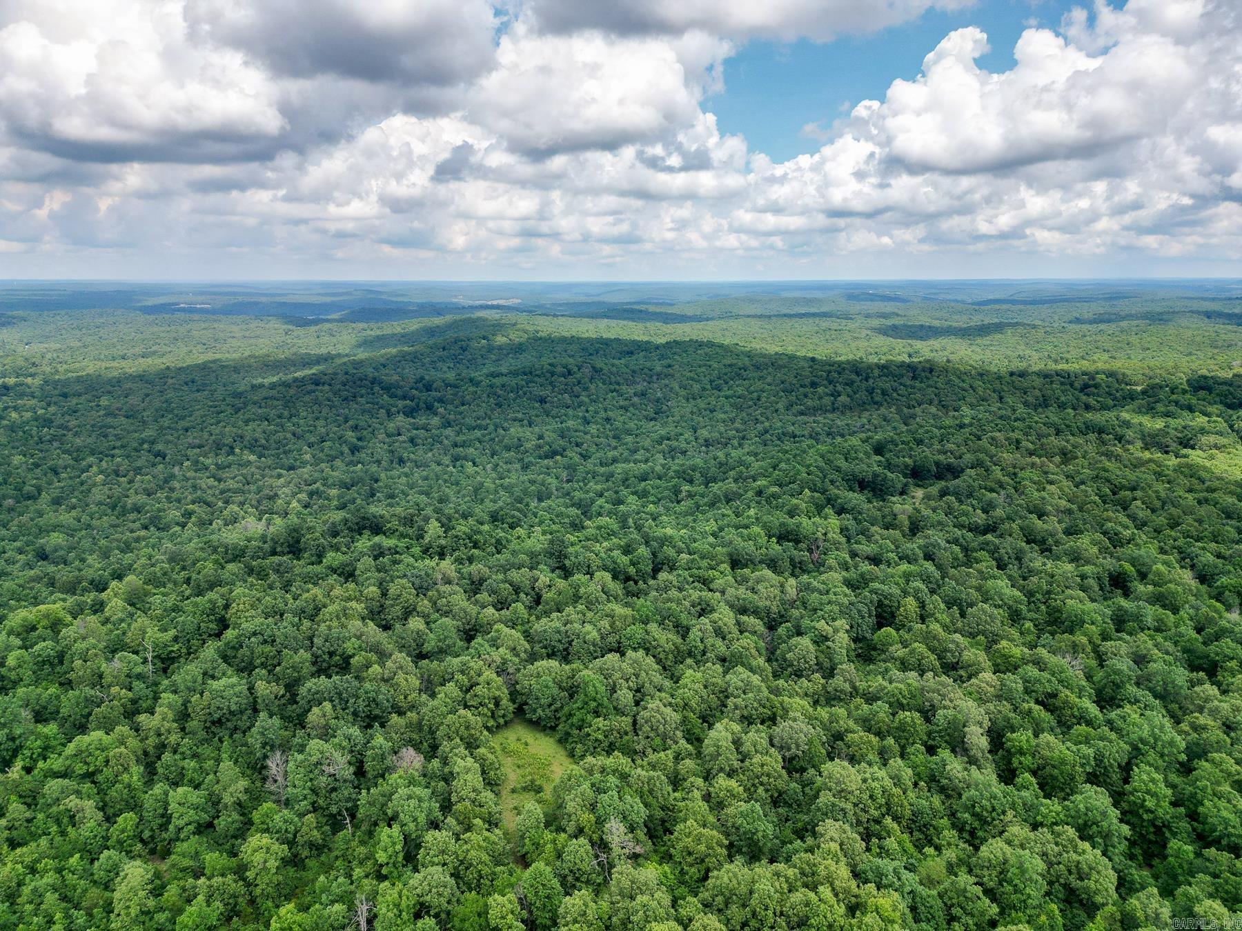 52 Summerfield Creek  Williford, AR
