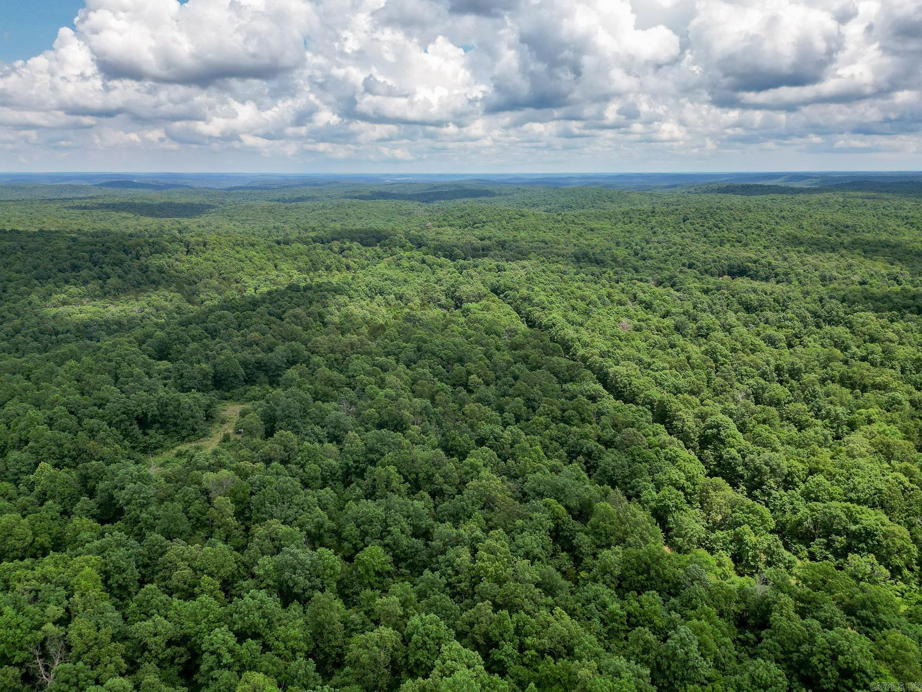 52 Summerfield Creek  Williford, AR