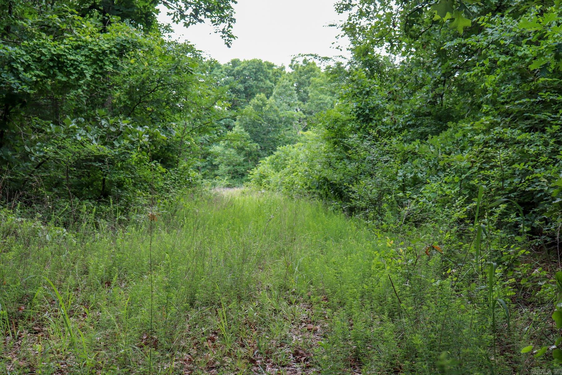 52 Summerfield Creek  Williford, AR