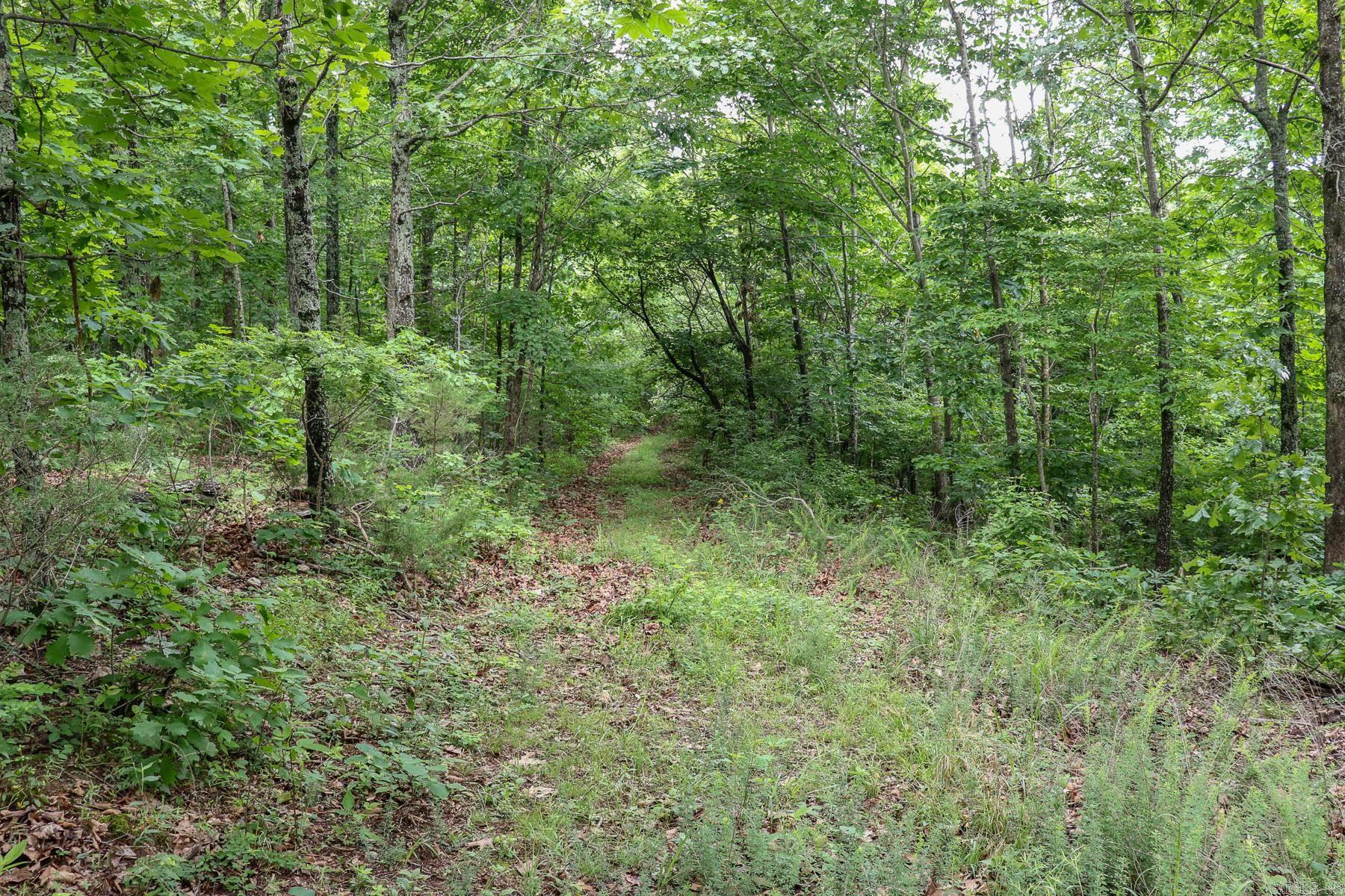 52 Summerfield Creek  Williford, AR