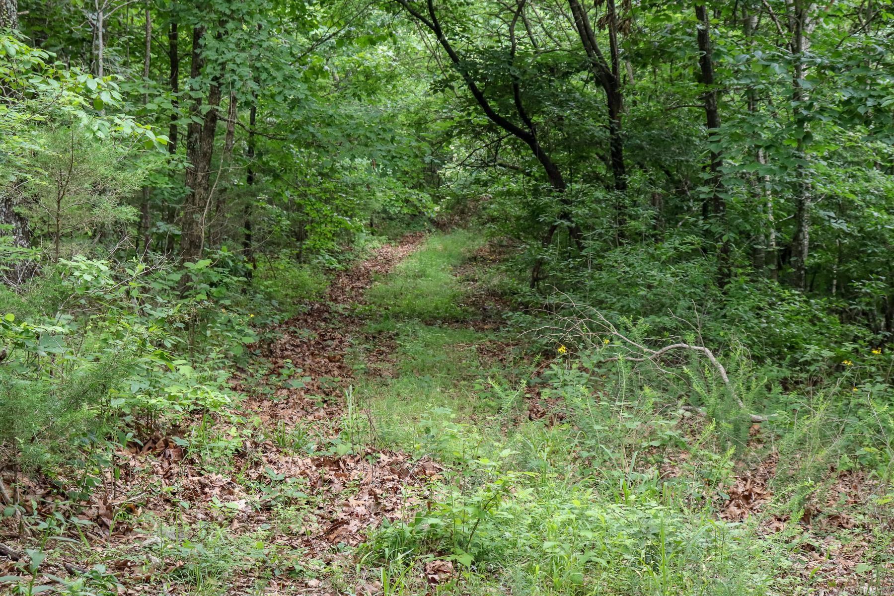 52 Summerfield Creek  Williford, AR