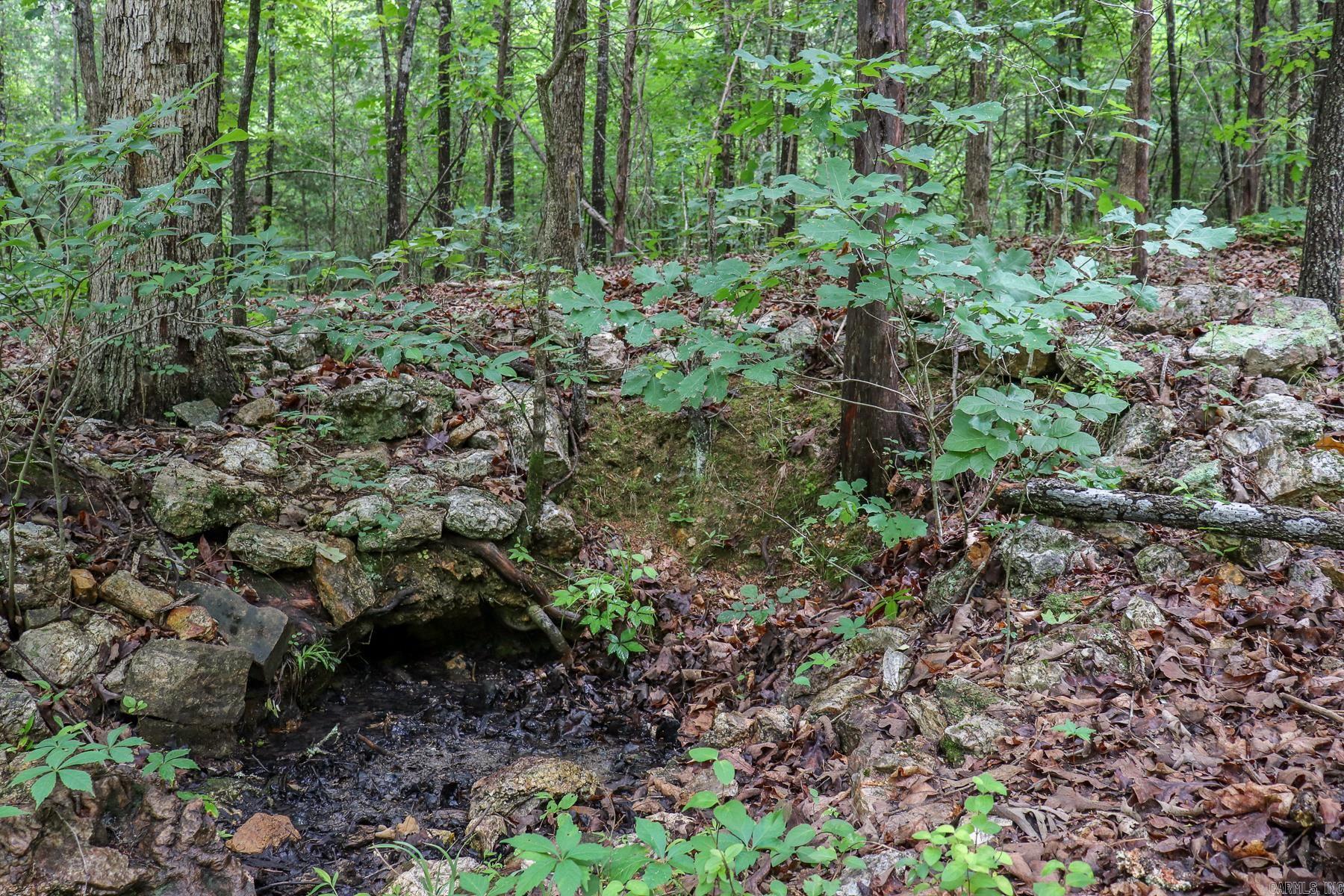 52 Summerfield Creek  Williford, AR