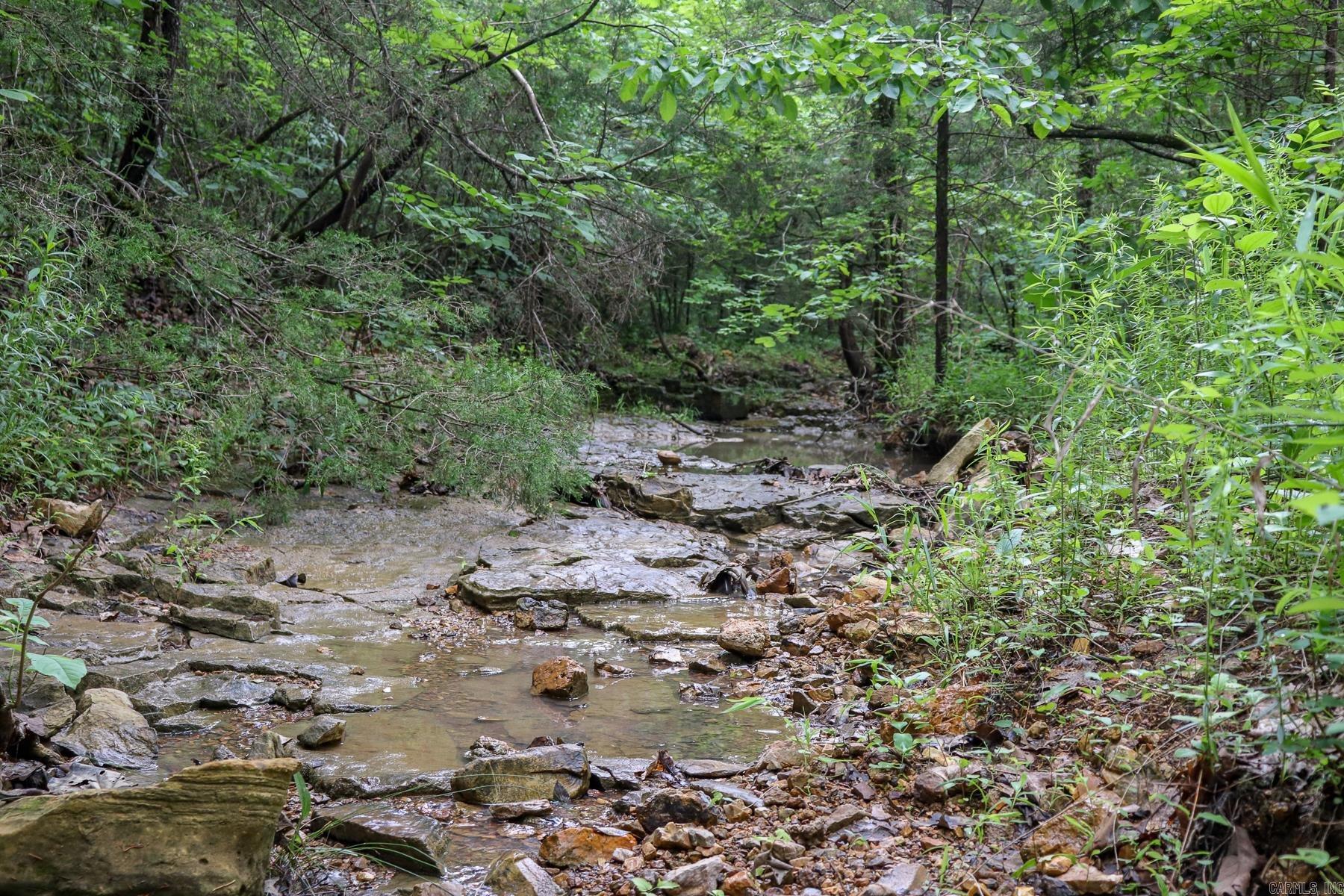 52 Summerfield Creek  Williford, AR