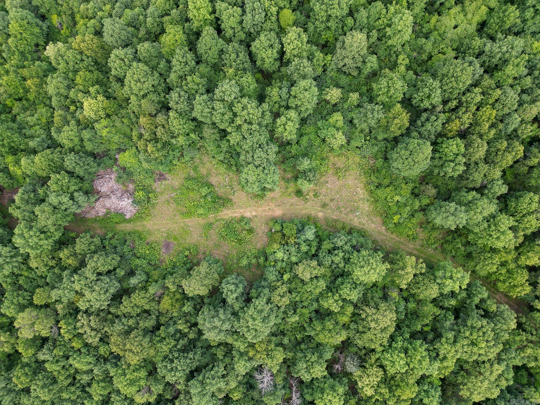 52 Summerfield Creek  Williford, AR