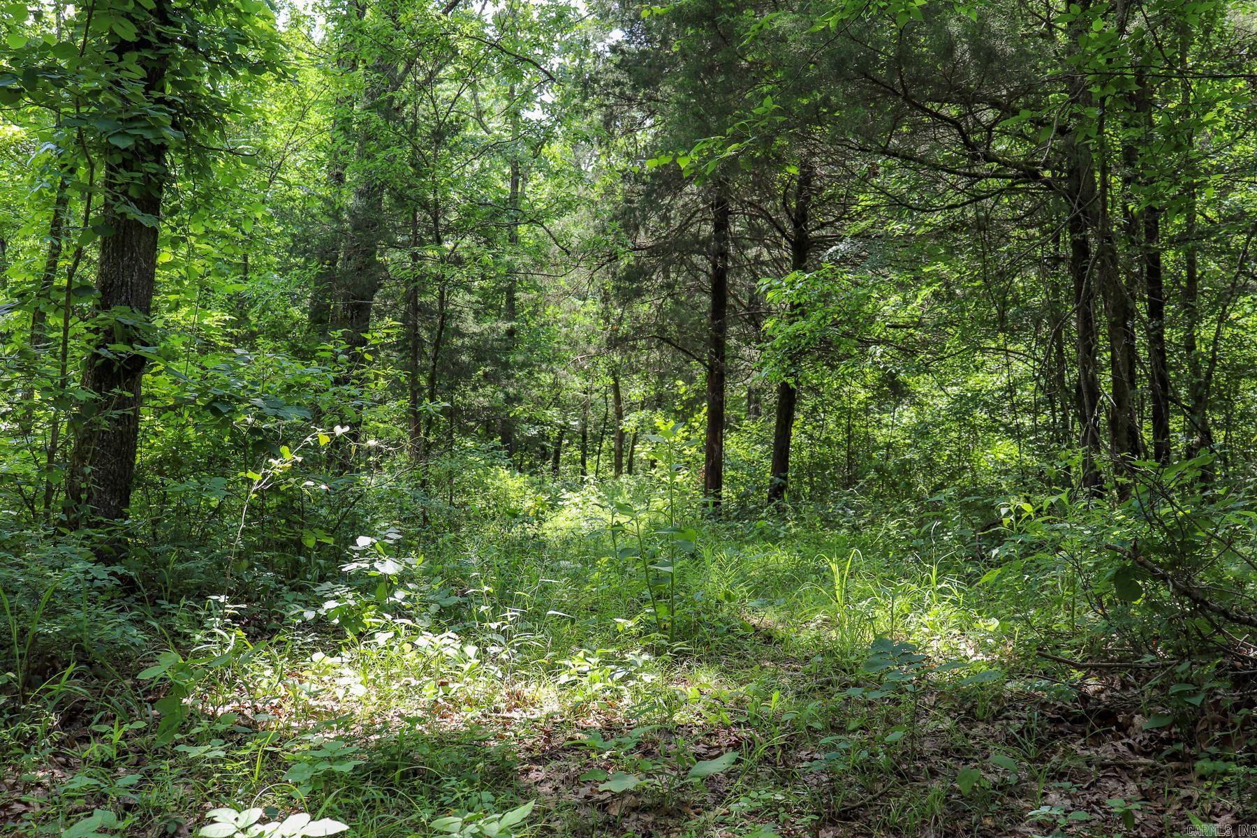 52 Summerfield Creek  Williford, AR