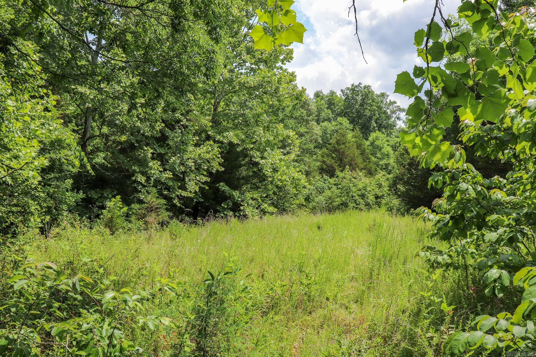 52 Summerfield Creek  Williford, AR