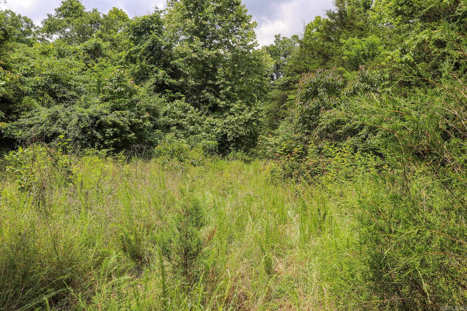 52 Summerfield Creek  Williford, AR