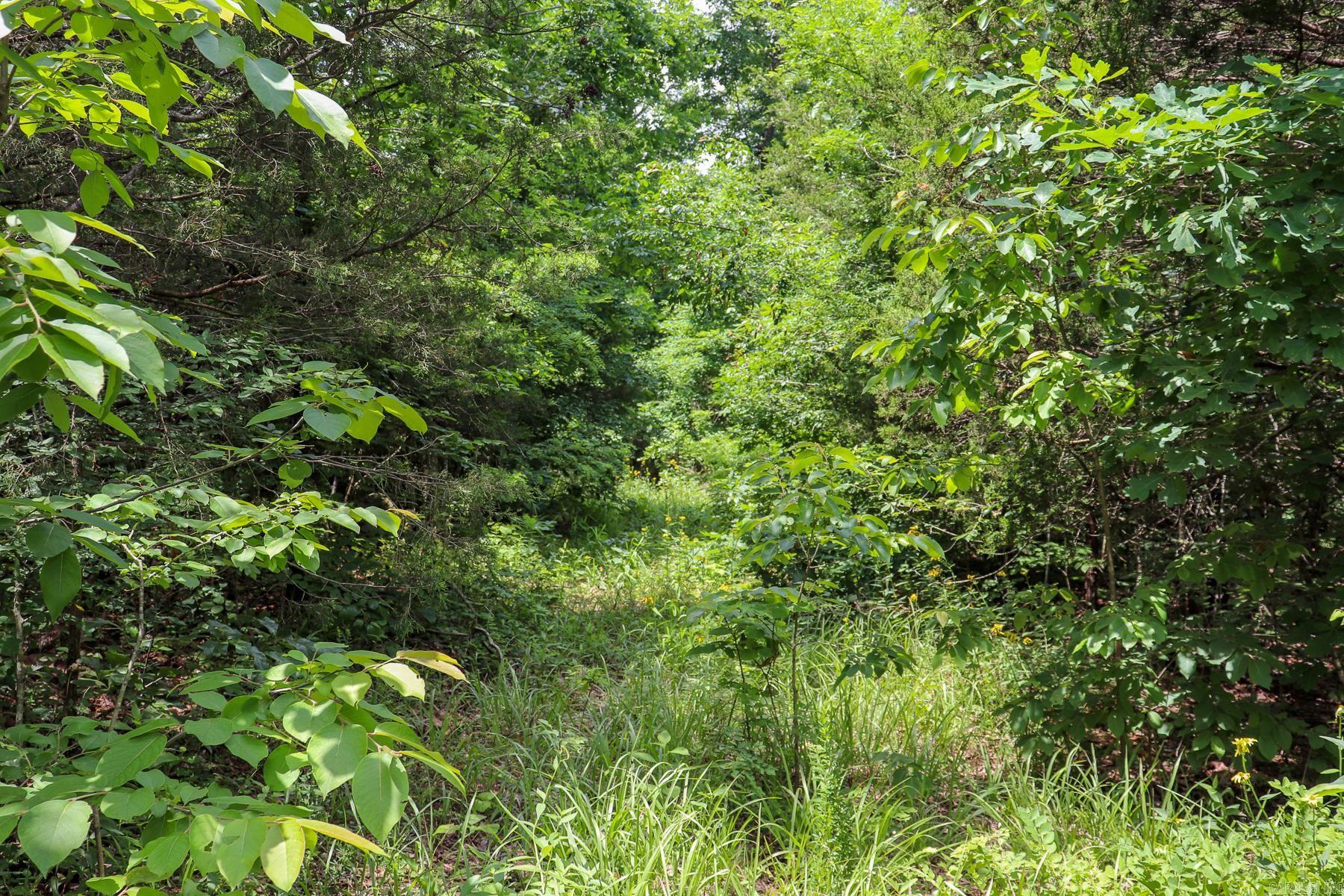 52 Summerfield Creek  Williford, AR