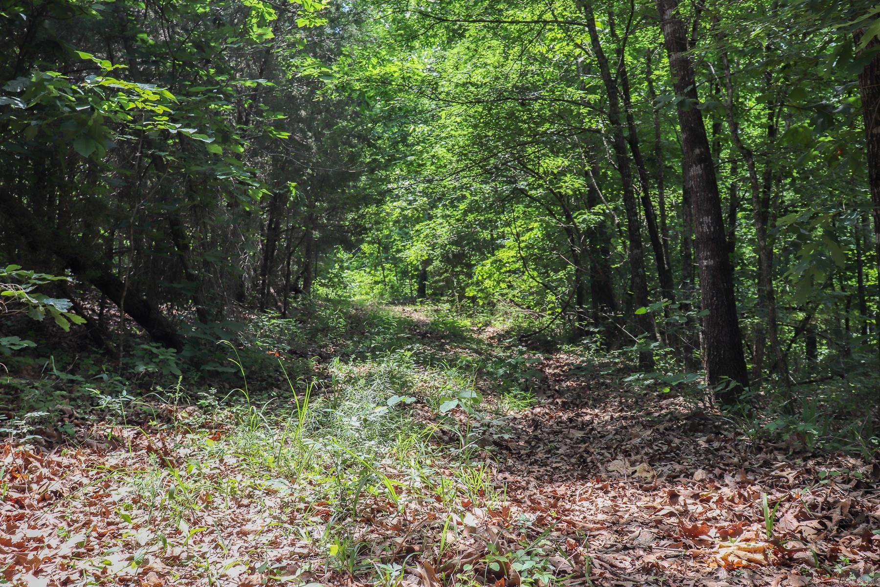 52 Summerfield Creek  Williford, AR