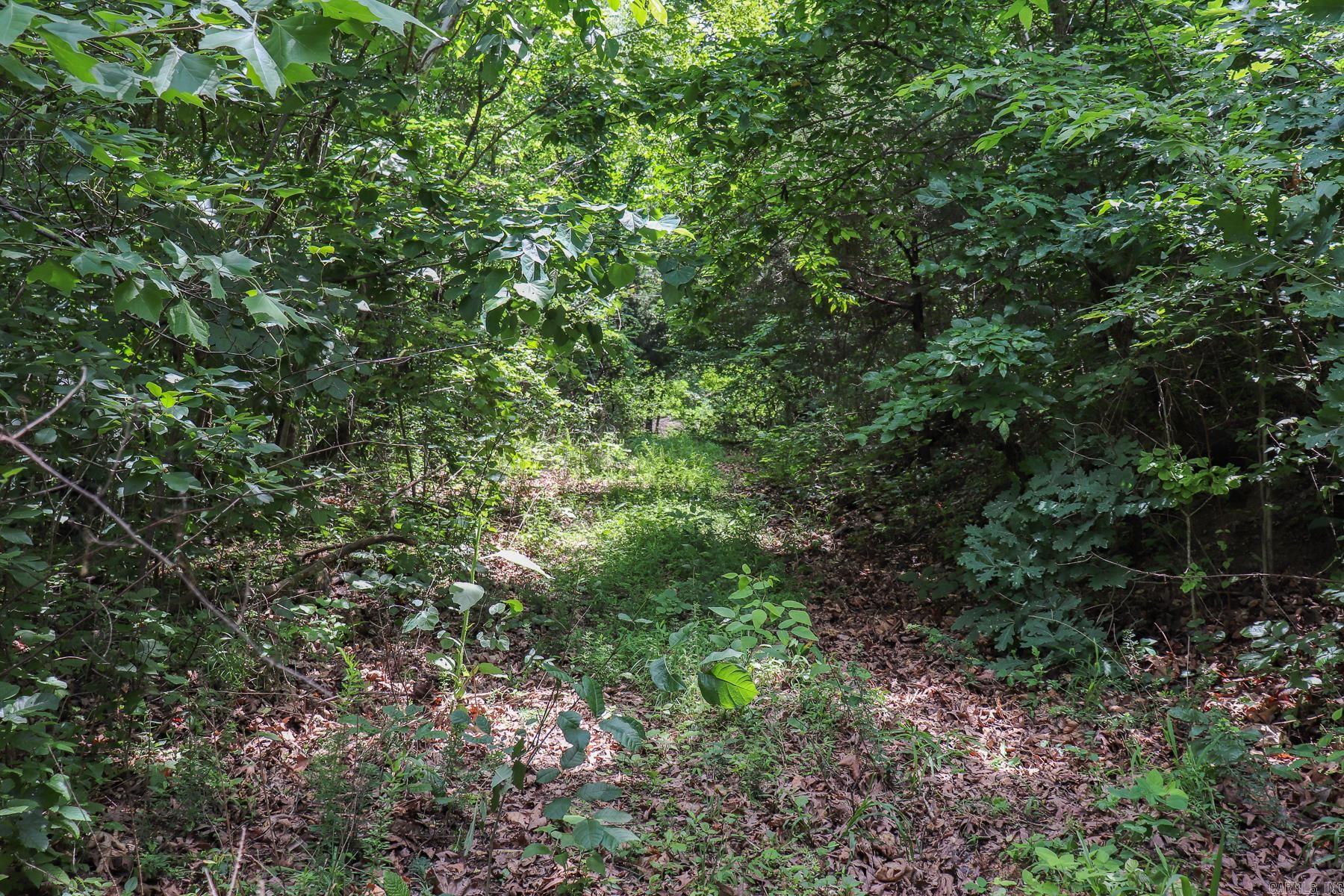 52 Summerfield Creek  Williford, AR