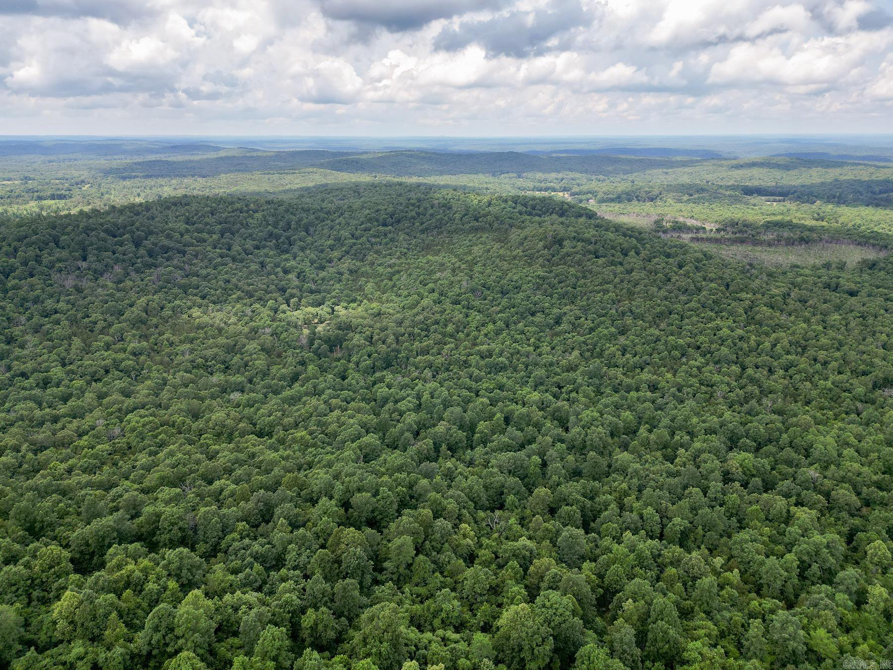 52 Summerfield Creek  Williford, AR