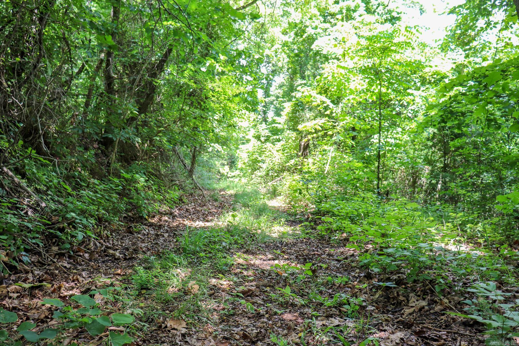 52 Summerfield Creek  Williford, AR