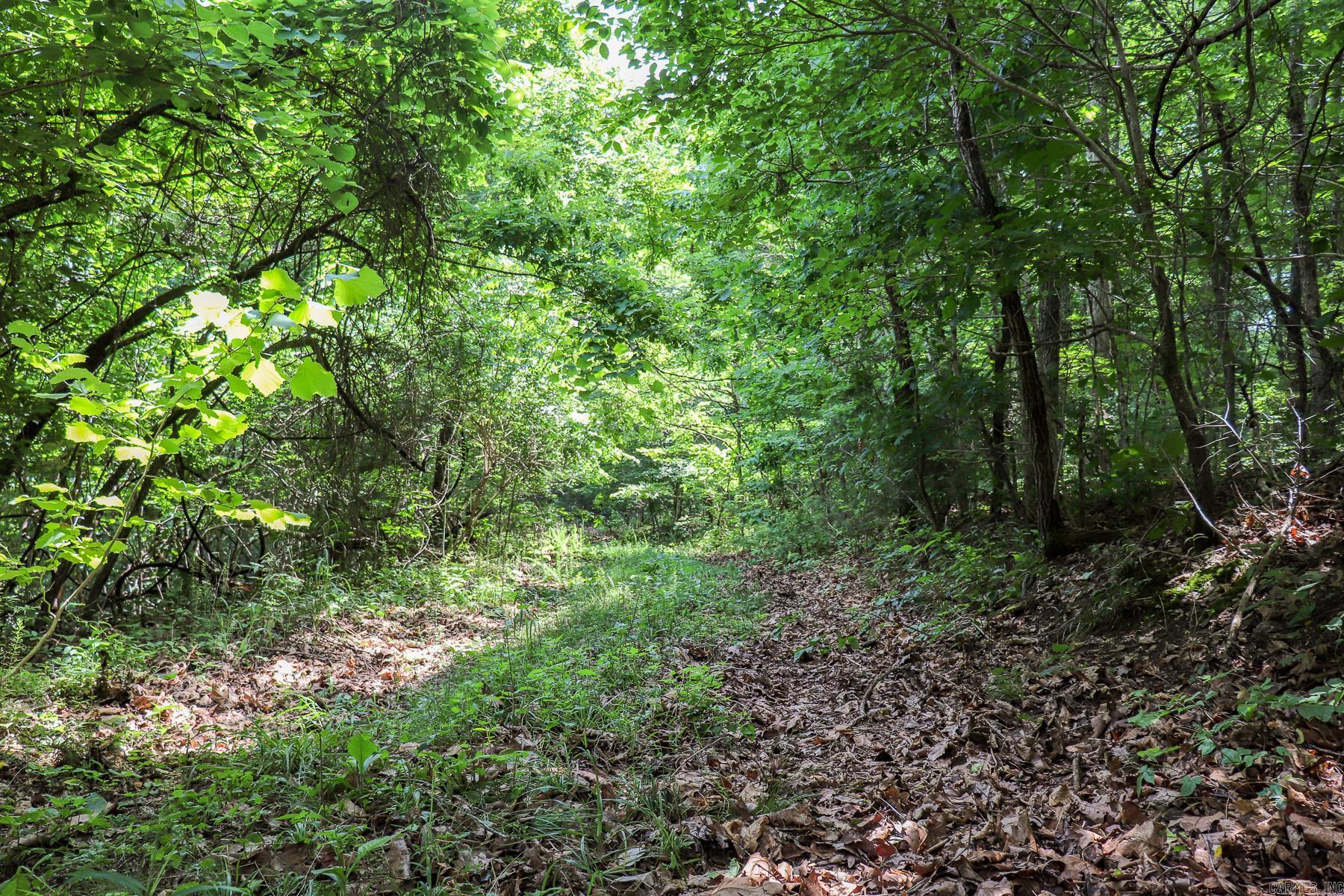 52 Summerfield Creek  Williford, AR