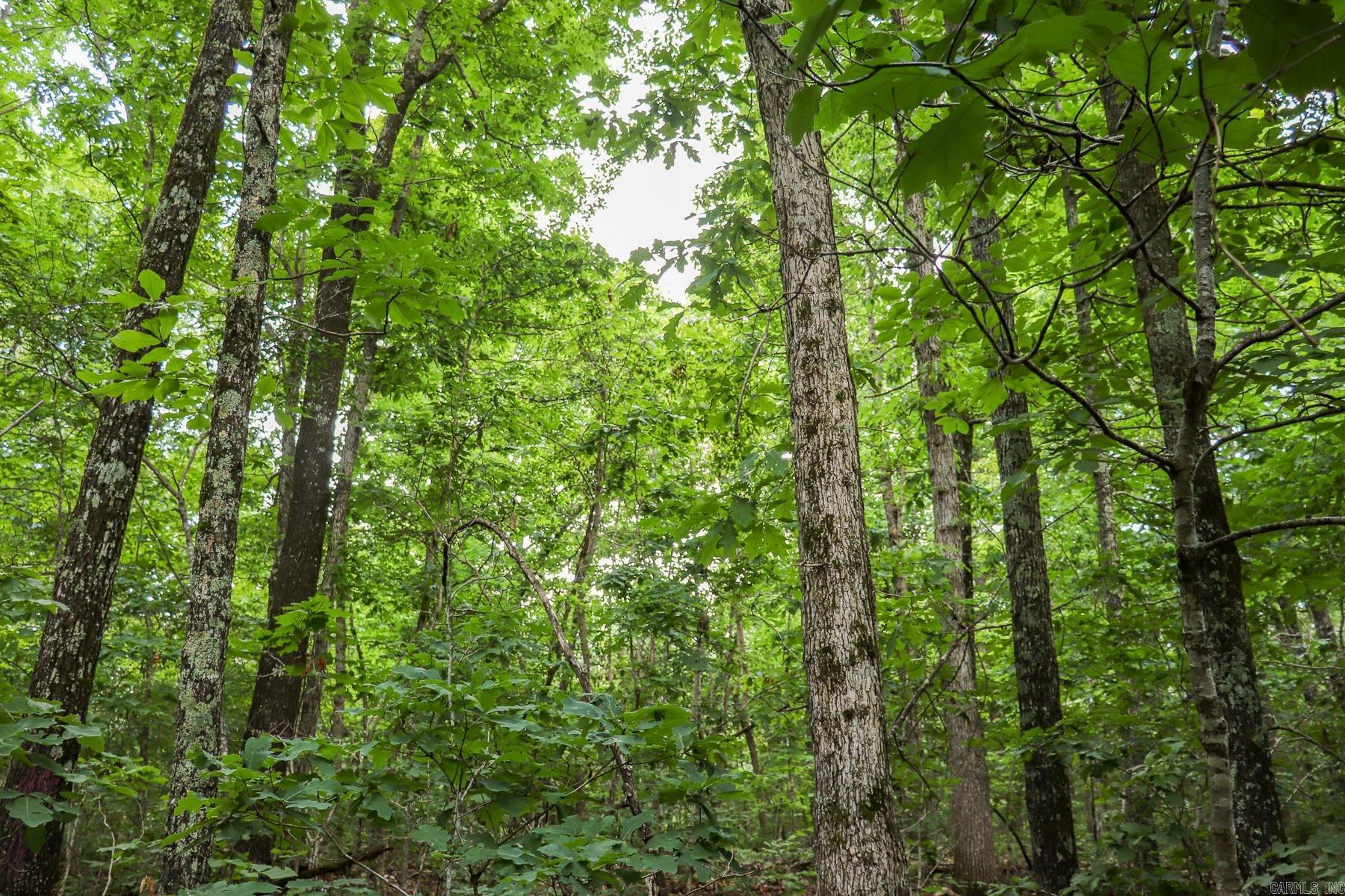 52 Summerfield Creek  Williford, AR