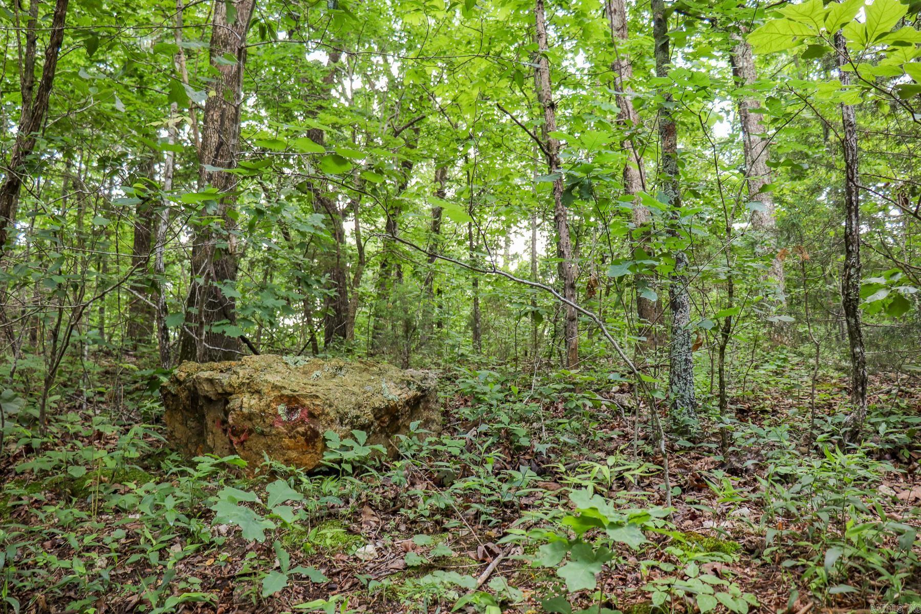 52 Summerfield Creek  Williford, AR