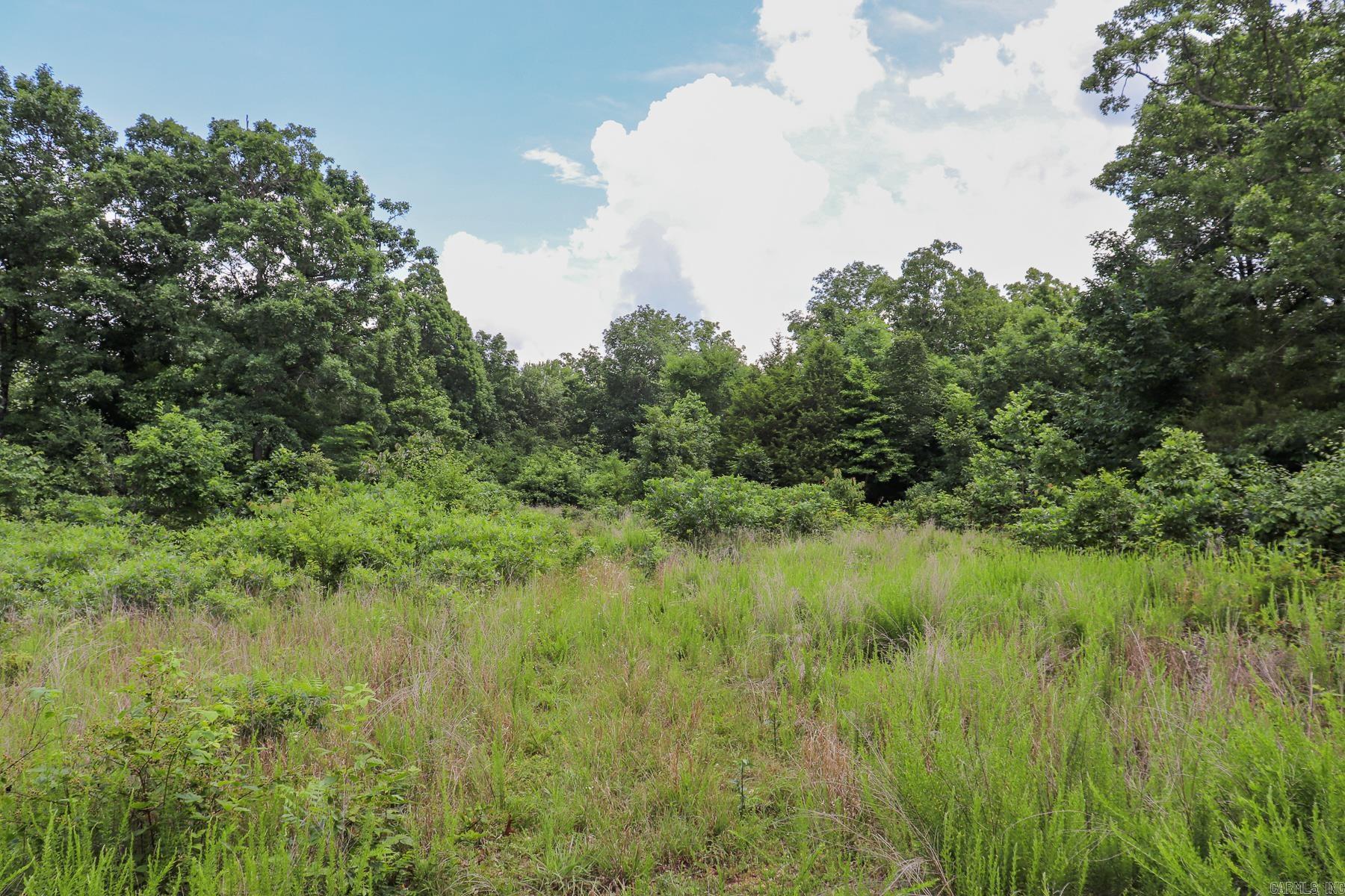 52 Summerfield Creek  Williford, AR