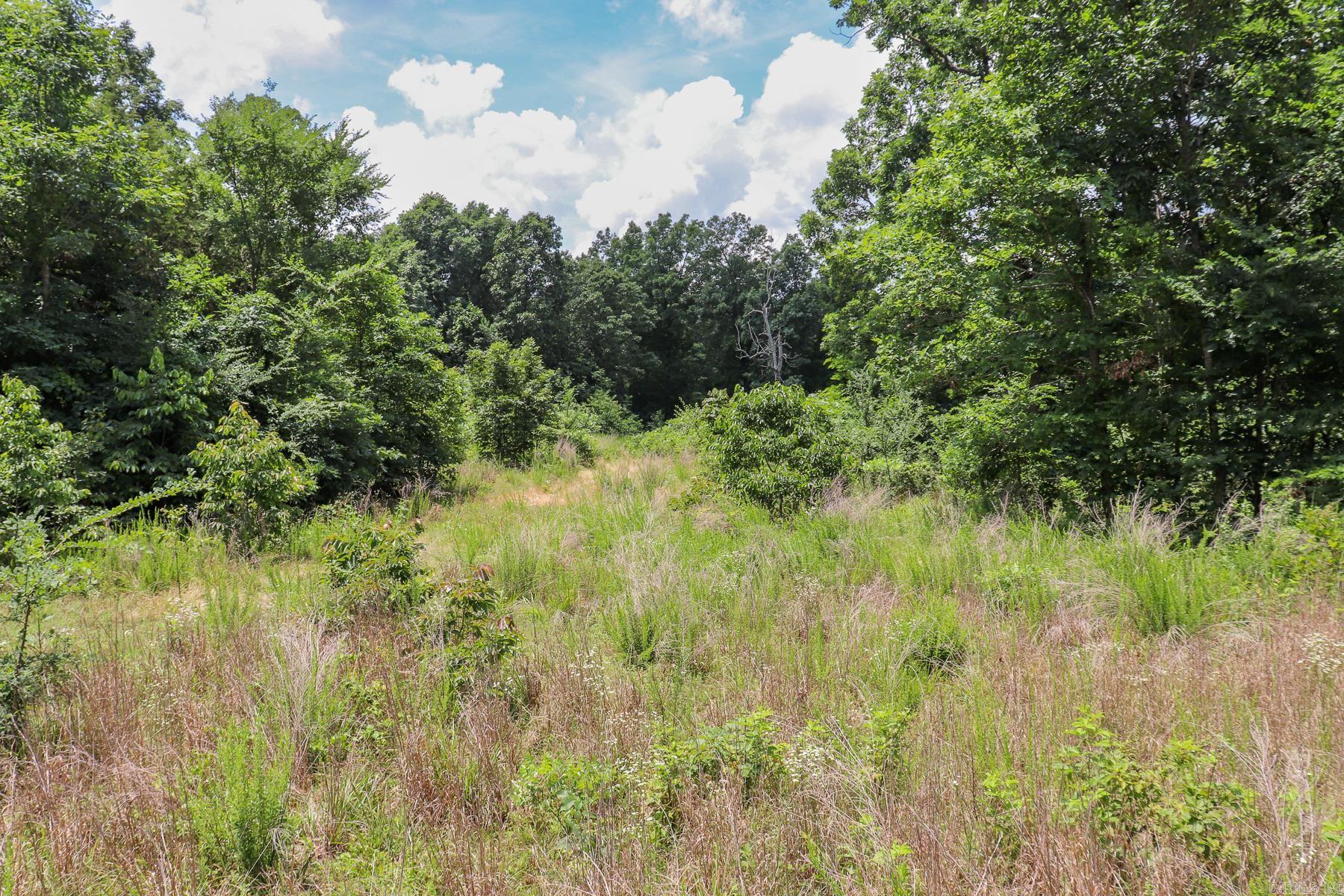 52 Summerfield Creek  Williford, AR