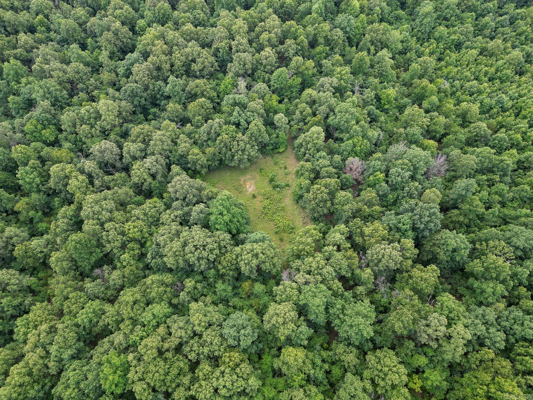 52 Summerfield Creek  Williford, AR