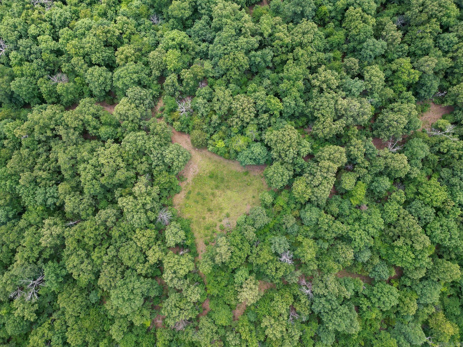 52 Summerfield Creek  Williford, AR