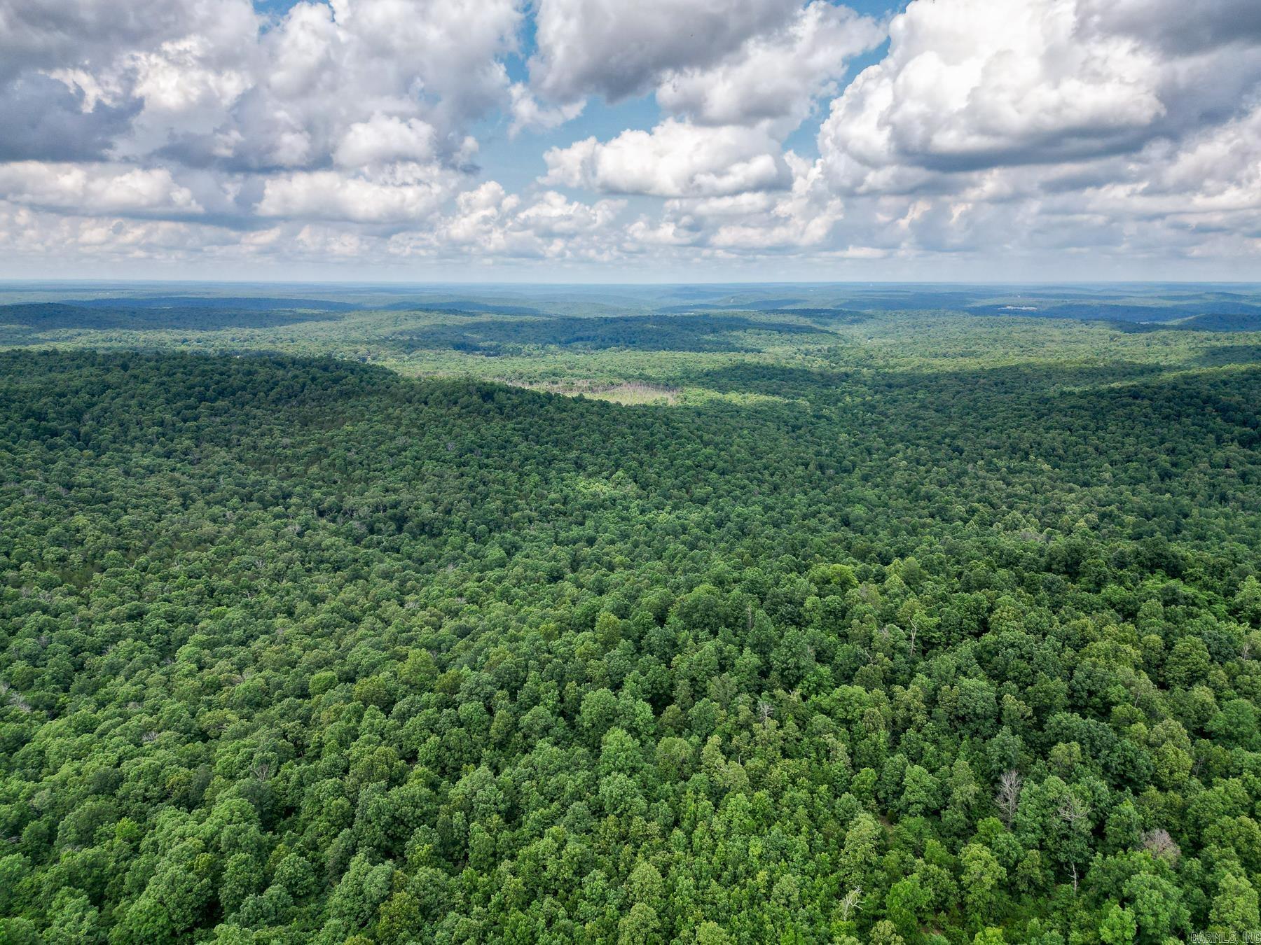 52 Summerfield Creek  Williford, AR