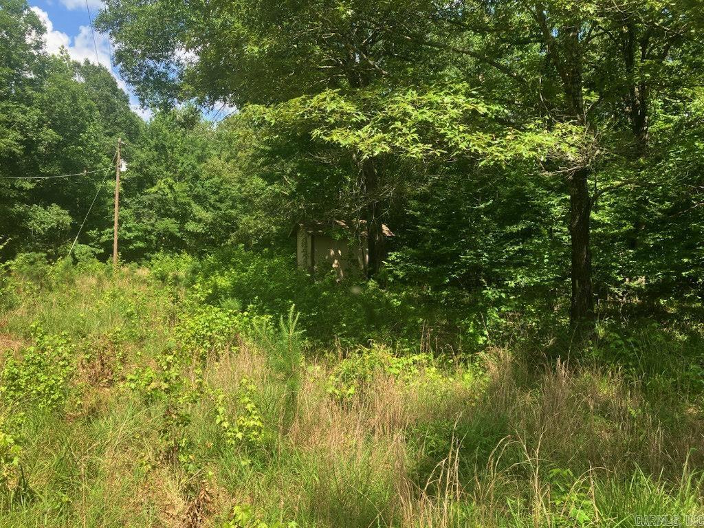 TBD Polk Road 69  Mena, AR
