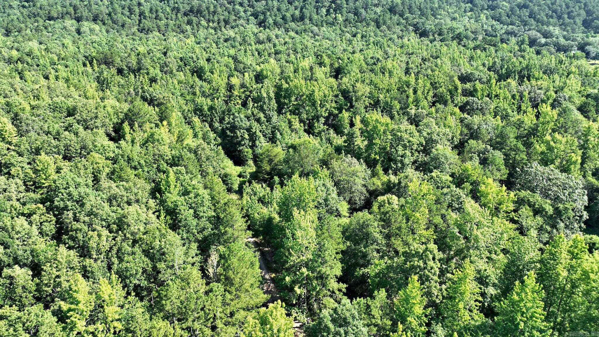 TBD Polk Road 69  Mena, AR