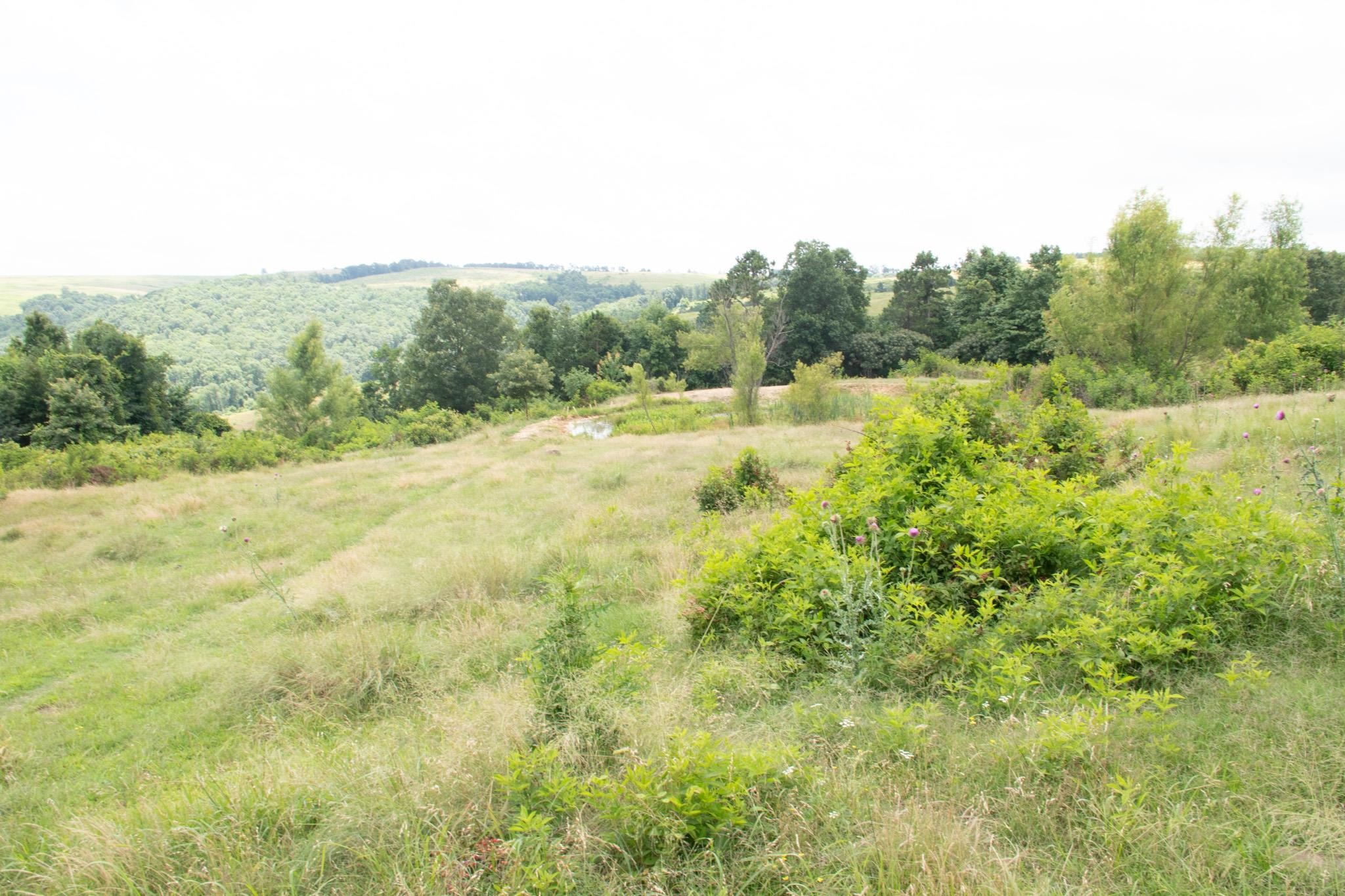 4770 Highway 9  Mountain View, AR
