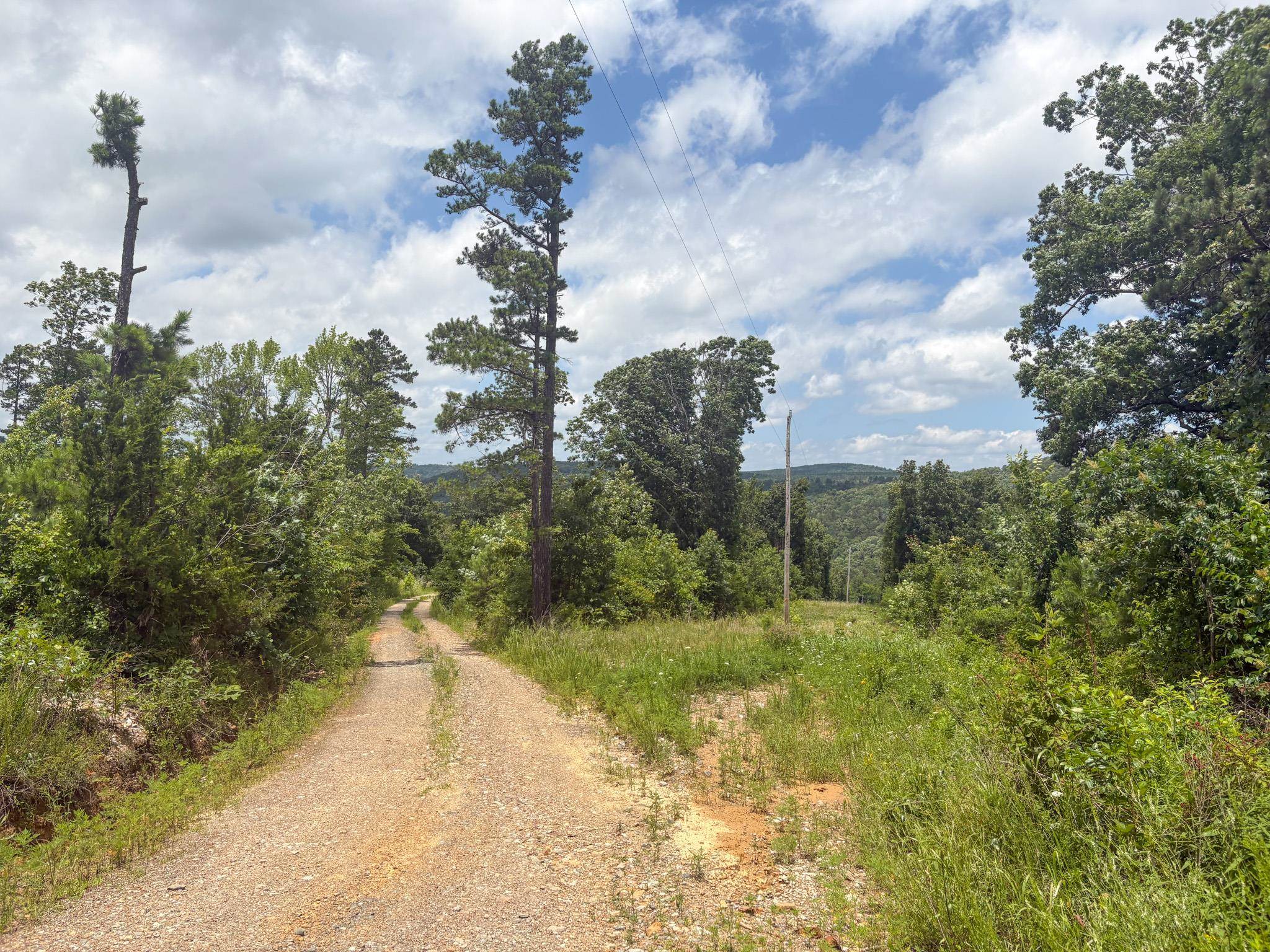 4770 Highway 9  Mountain View, AR