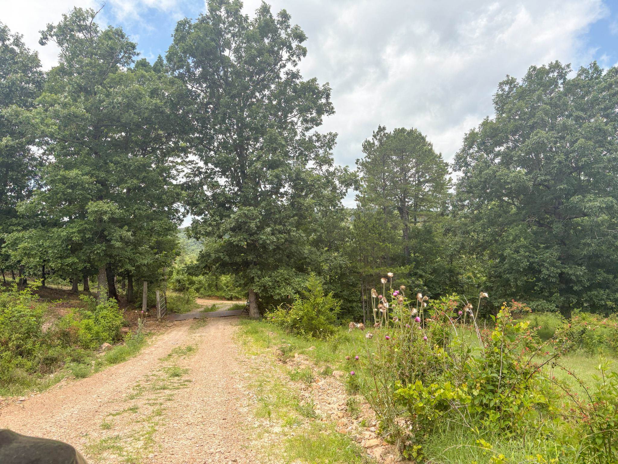 4770 Highway 9  Mountain View, AR