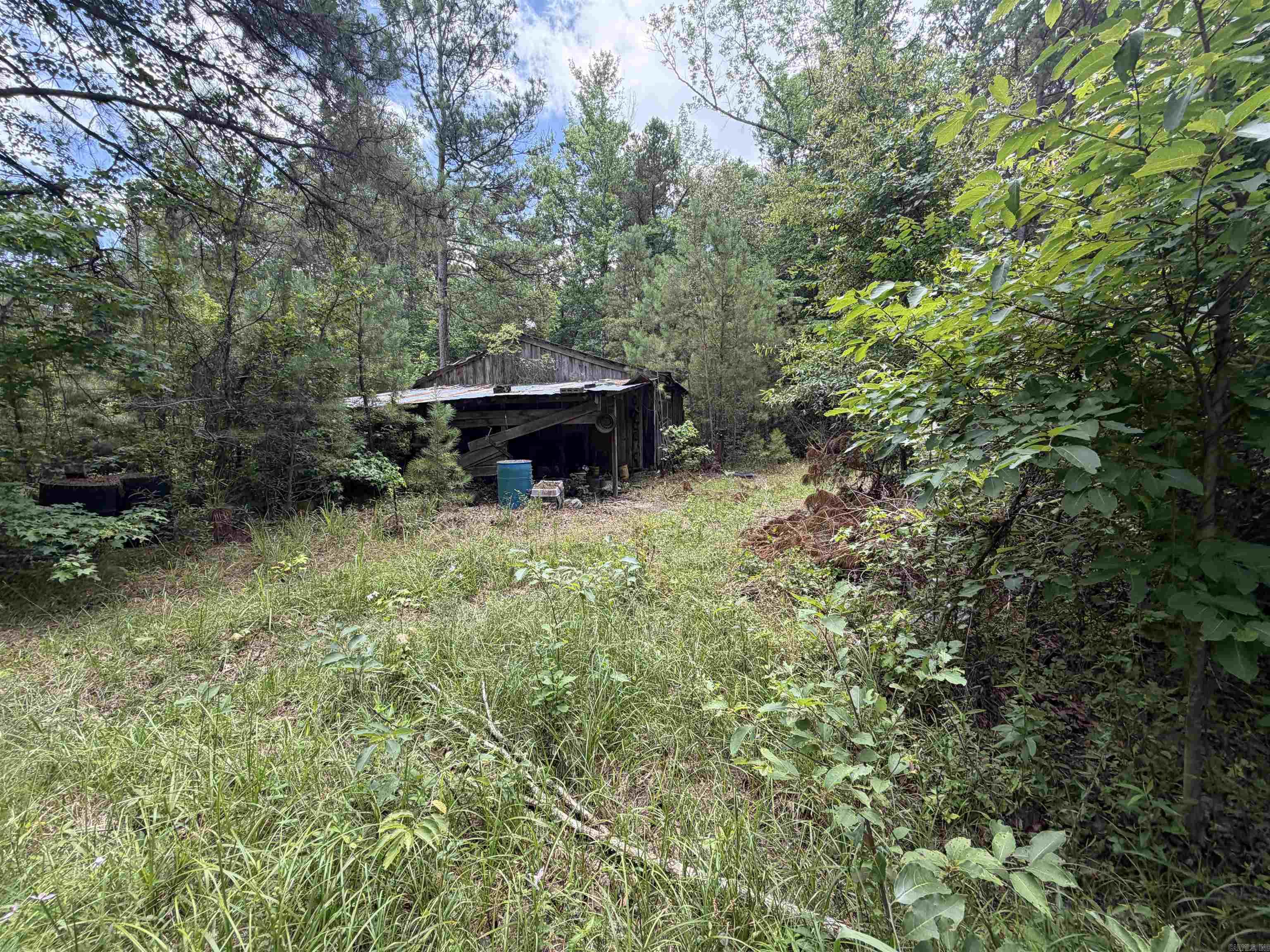 1420 Palmetto Rd Sparkman, AR 71763