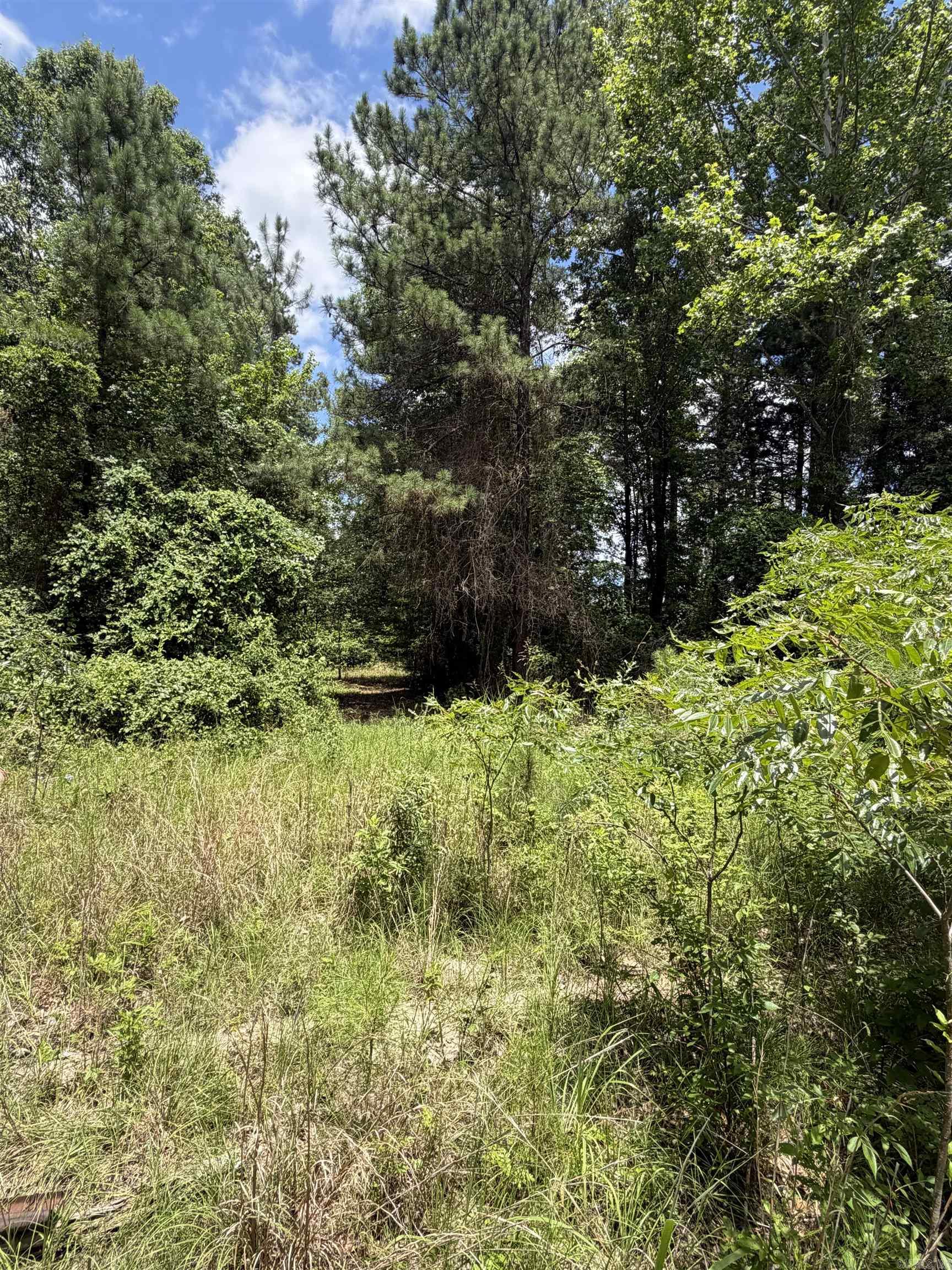 1420 Palmetto Rd Sparkman, AR 71763