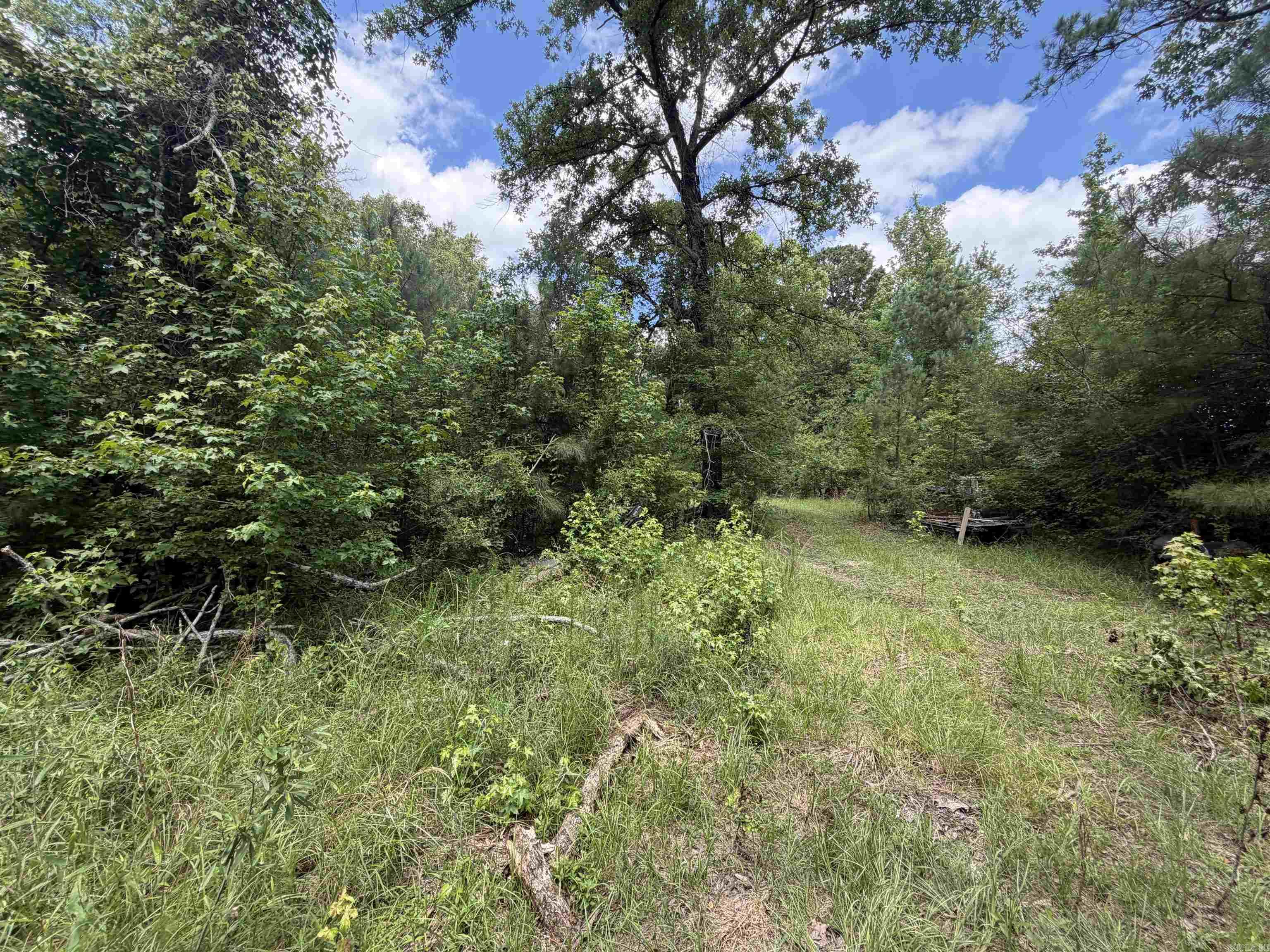 1420 Plametto rd Sparkman, AR 71763