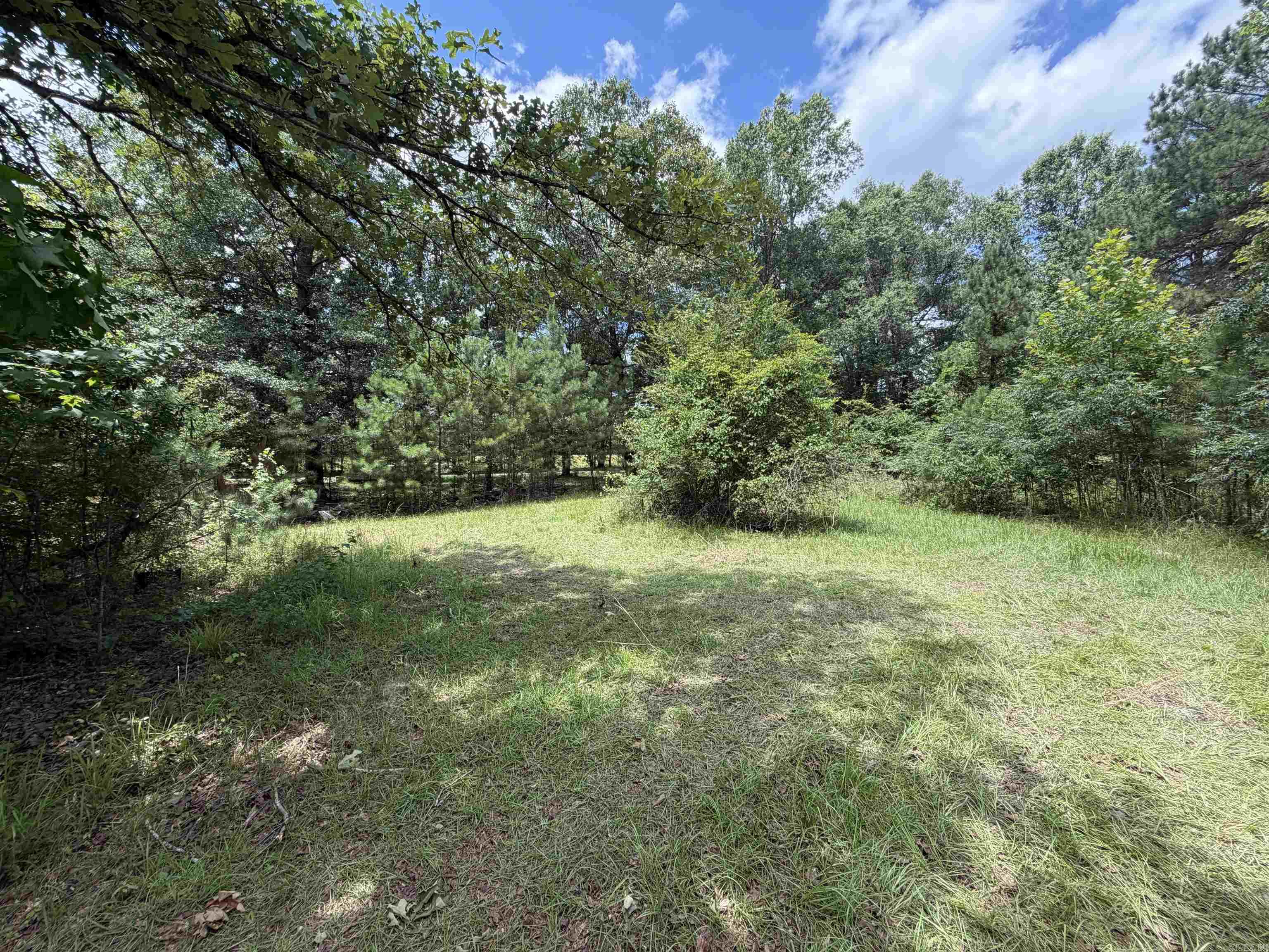1420 Plametto rd Sparkman, AR 71763