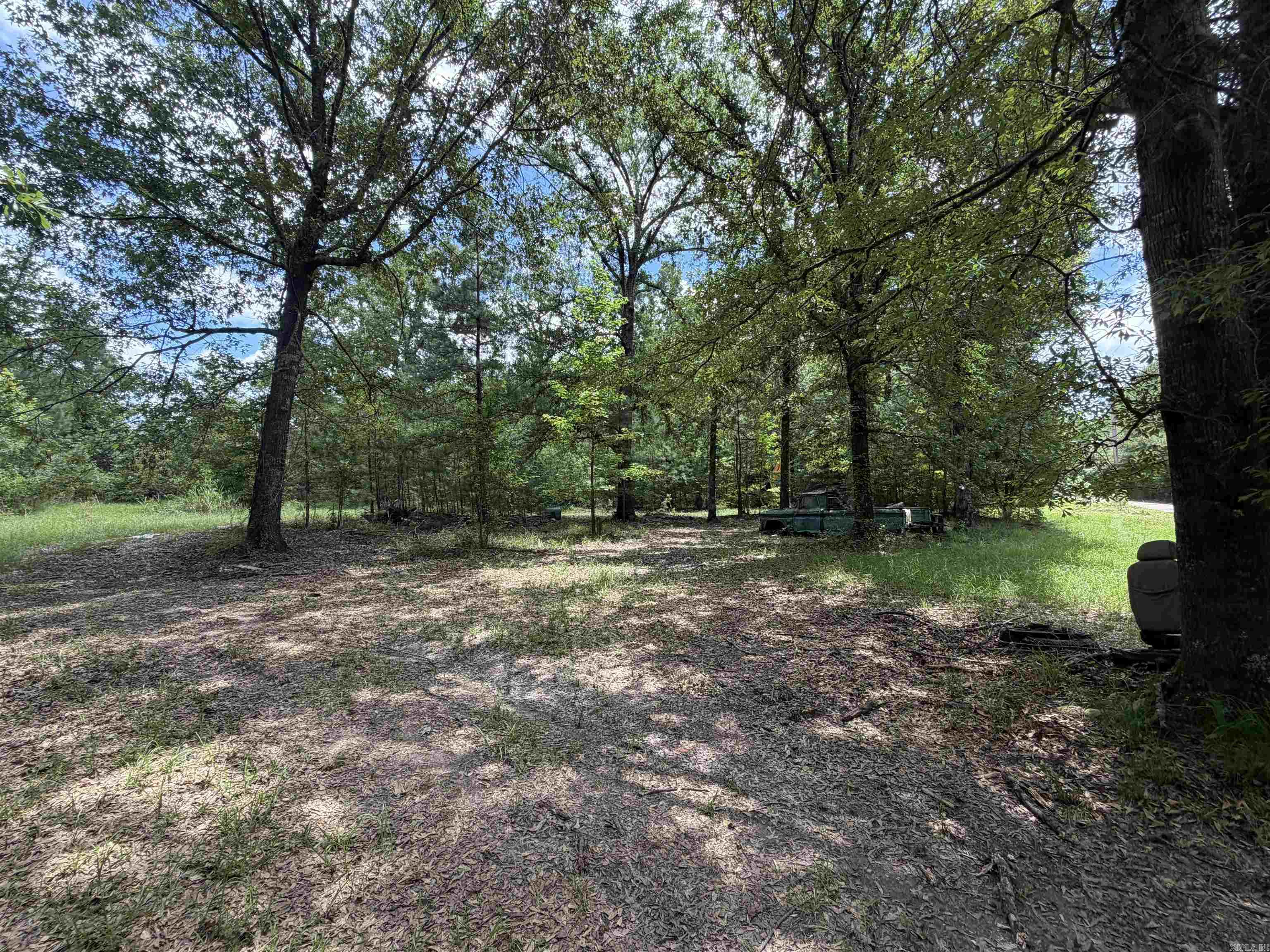 1420 Plametto rd Sparkman, AR 71763
