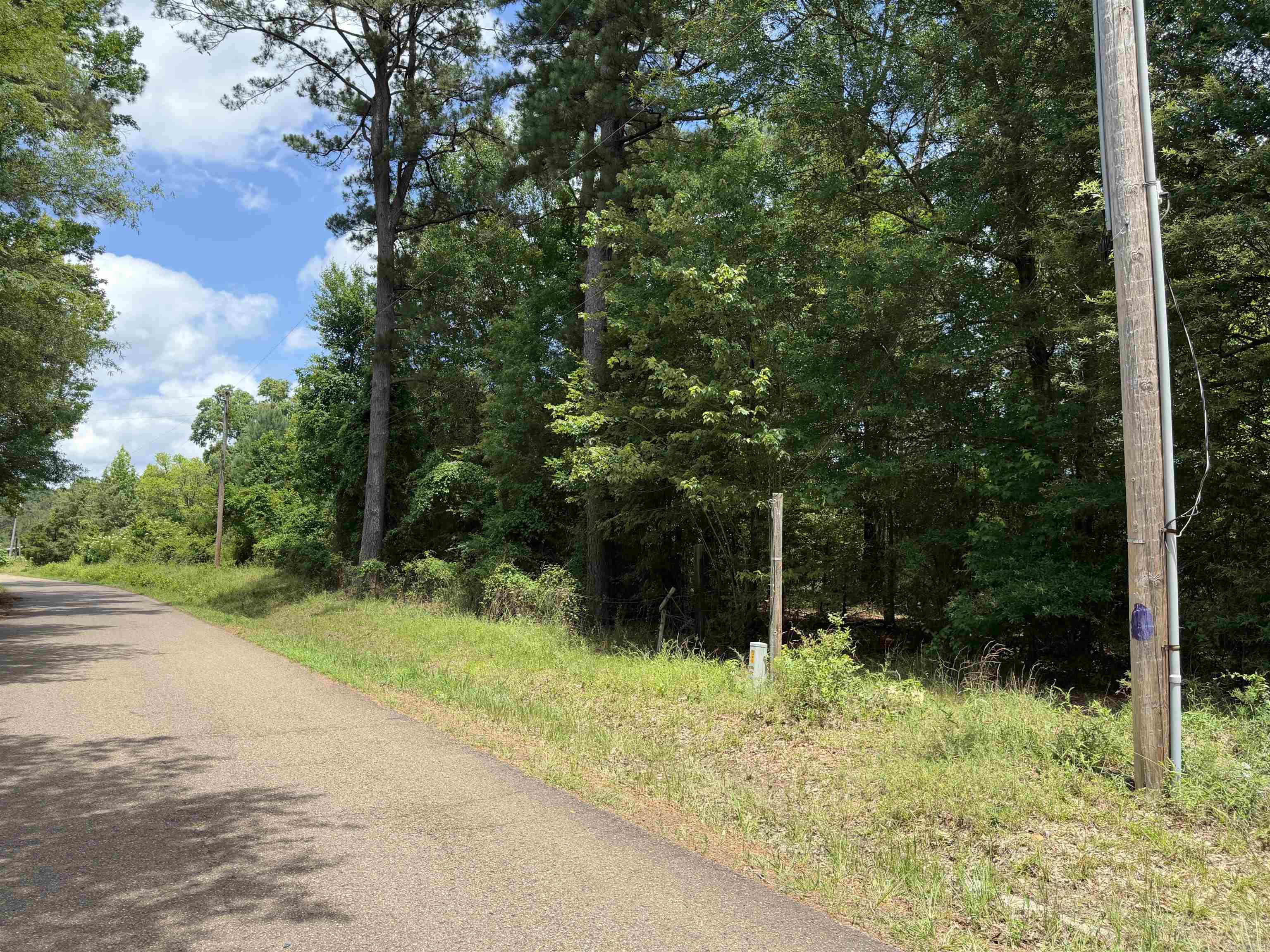 1420 Plametto rd Sparkman, AR 71763