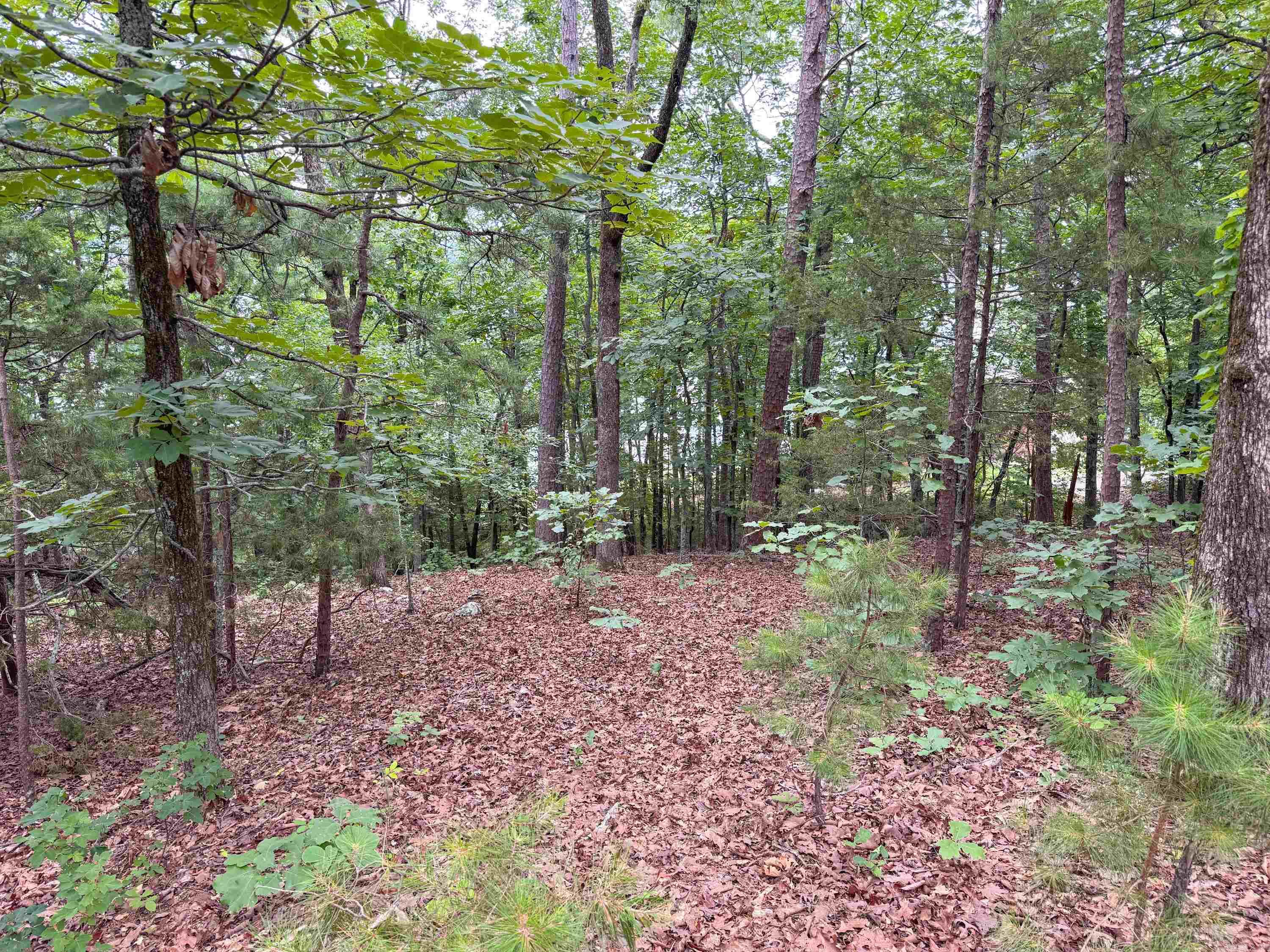 609 Lakefront  Quitman, AR