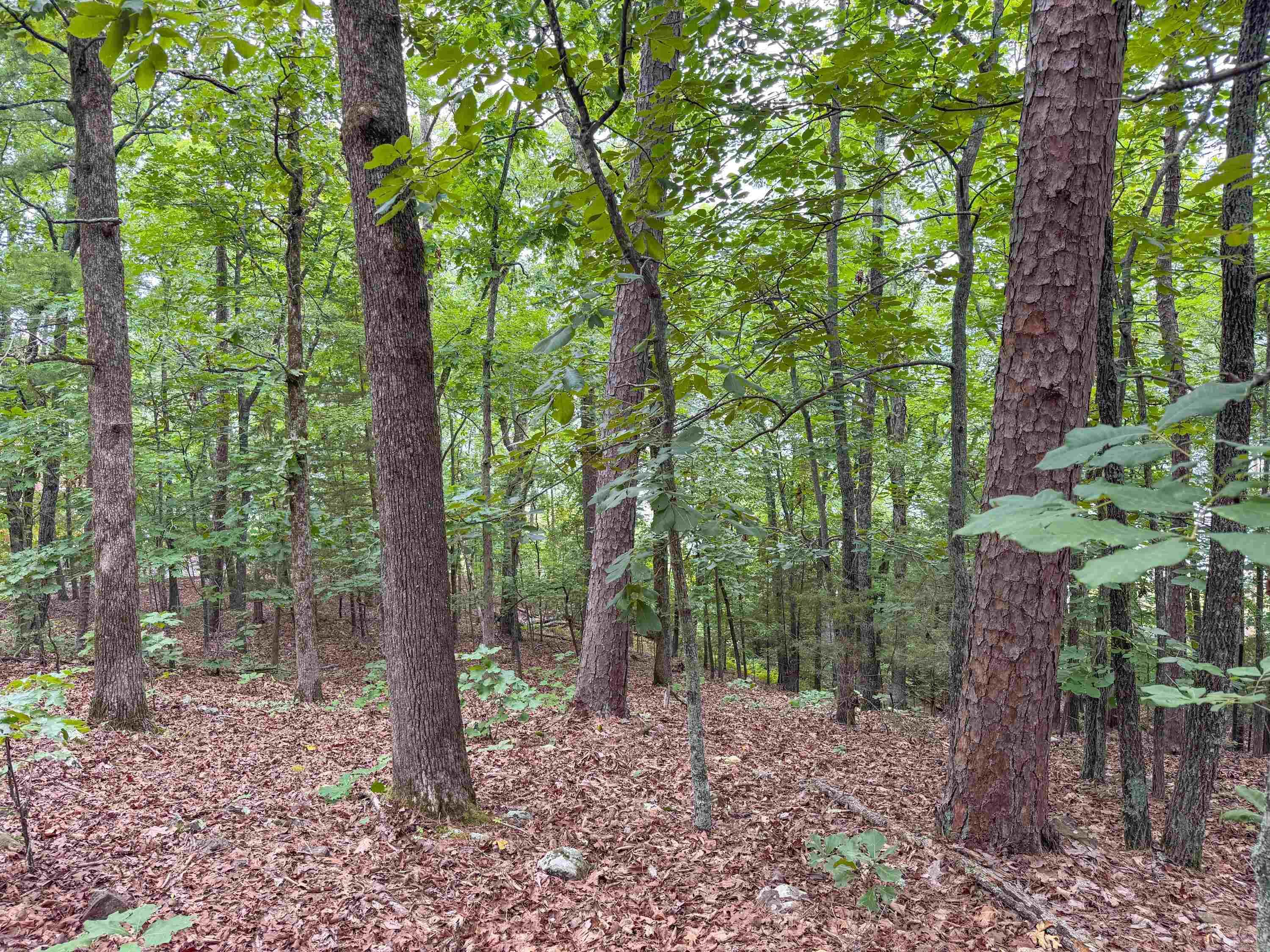 609 Lakefront  Quitman, AR